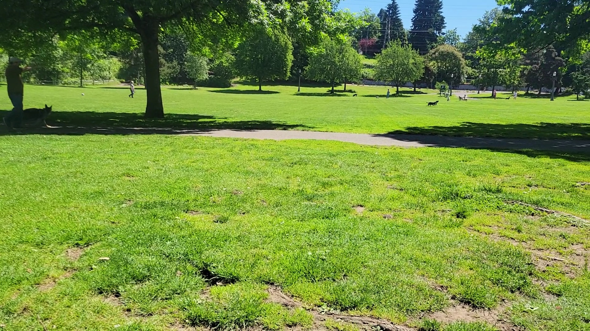 Sellwood Off-Leash Dog Park - Portland, OR