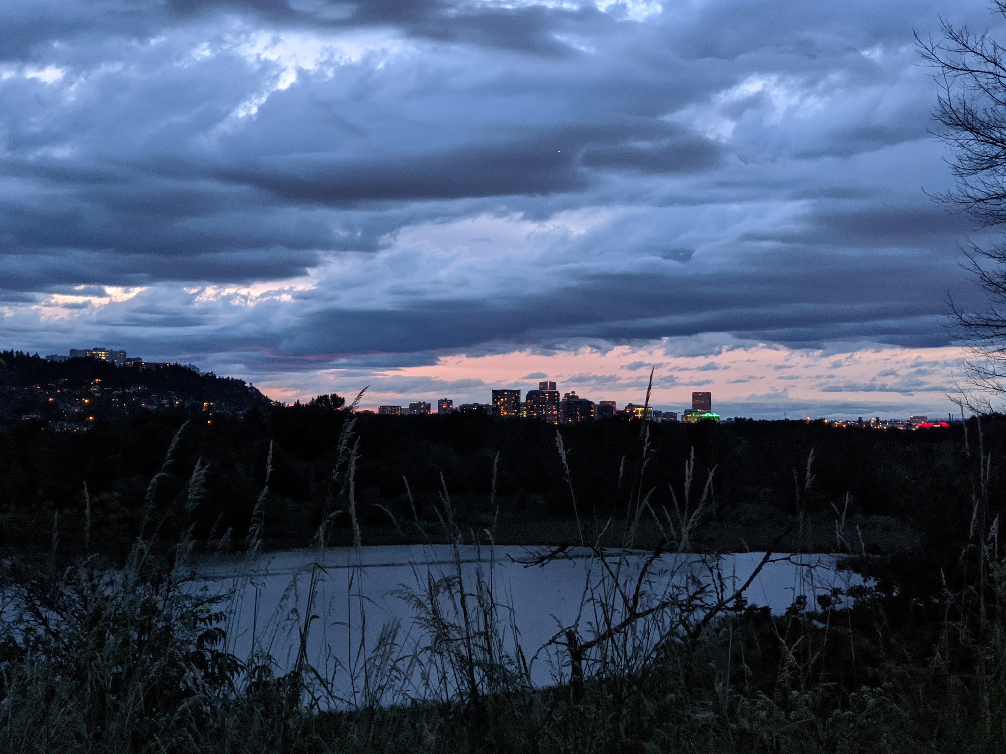 Sellwood Off-Leash Dog Park - Portland, OR