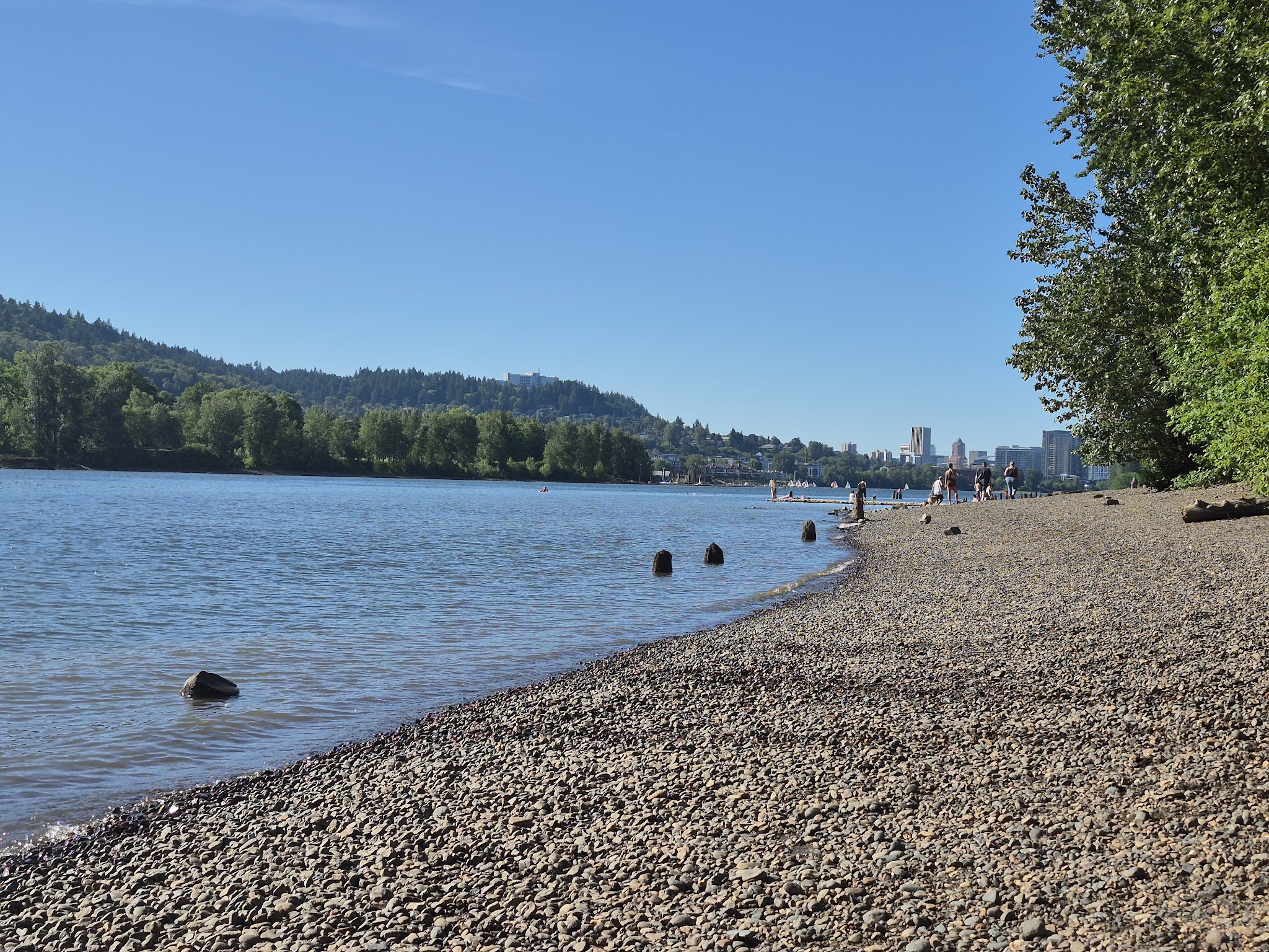 Sellwood Off-Leash Dog Park - Portland, OR