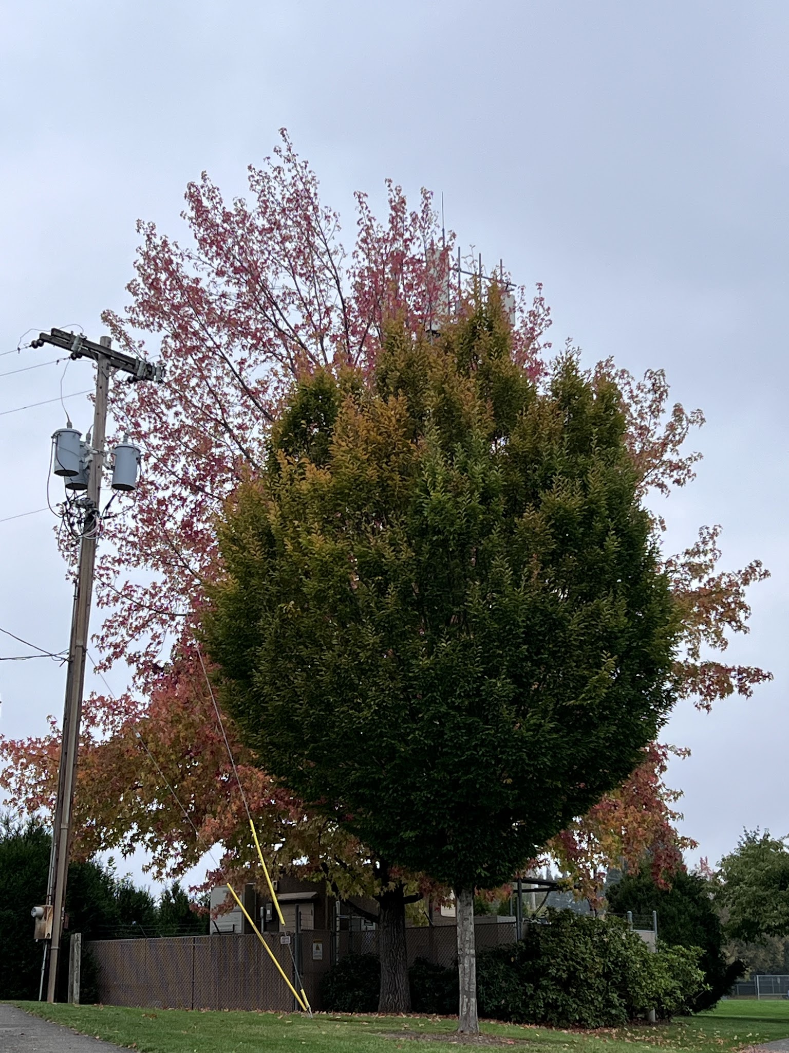 Tualatin Hills Park - Portland, OR