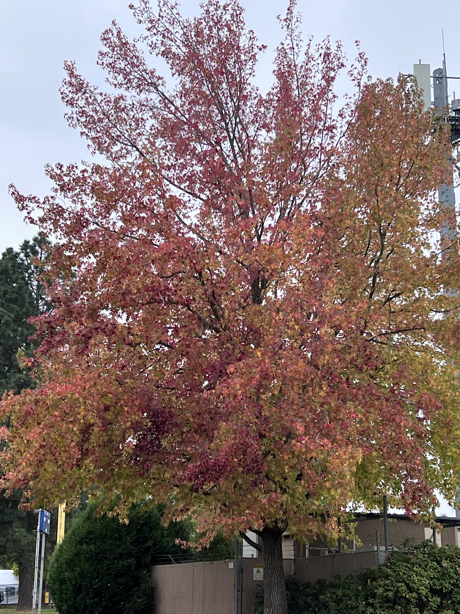 Tualatin Hills Park - Portland, OR