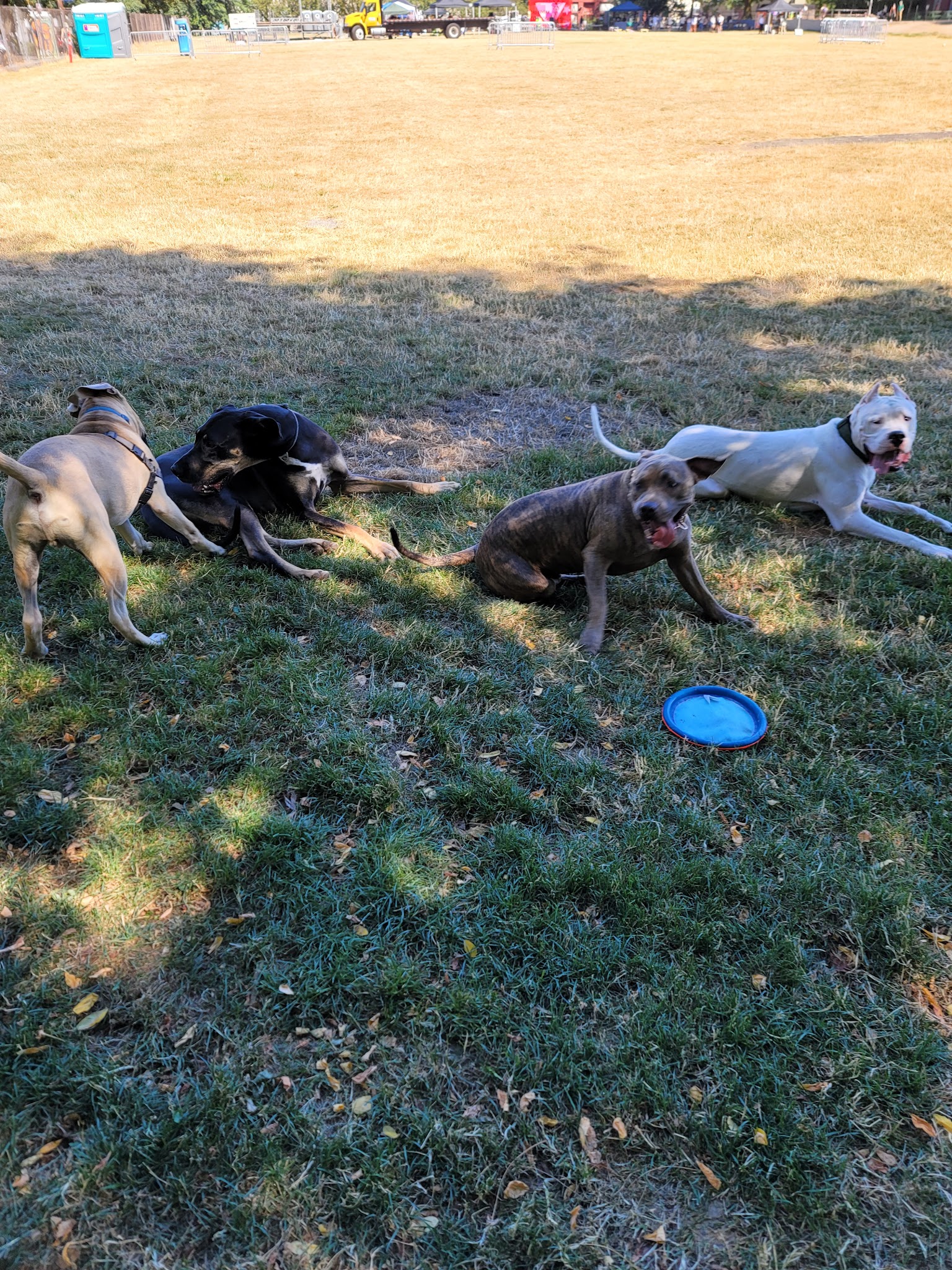 Washington High School Dog Park - Portland, OR