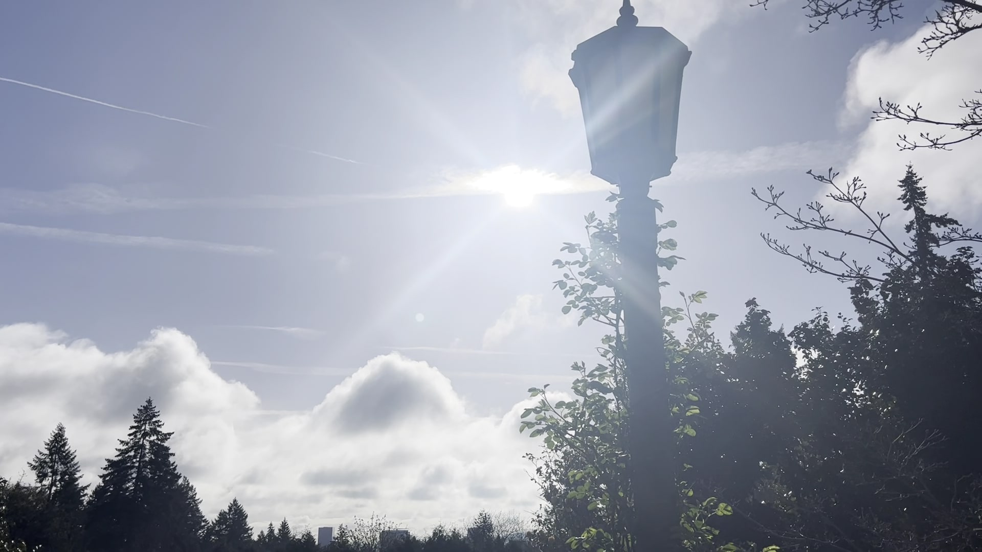 Washington Park - Portland, OR