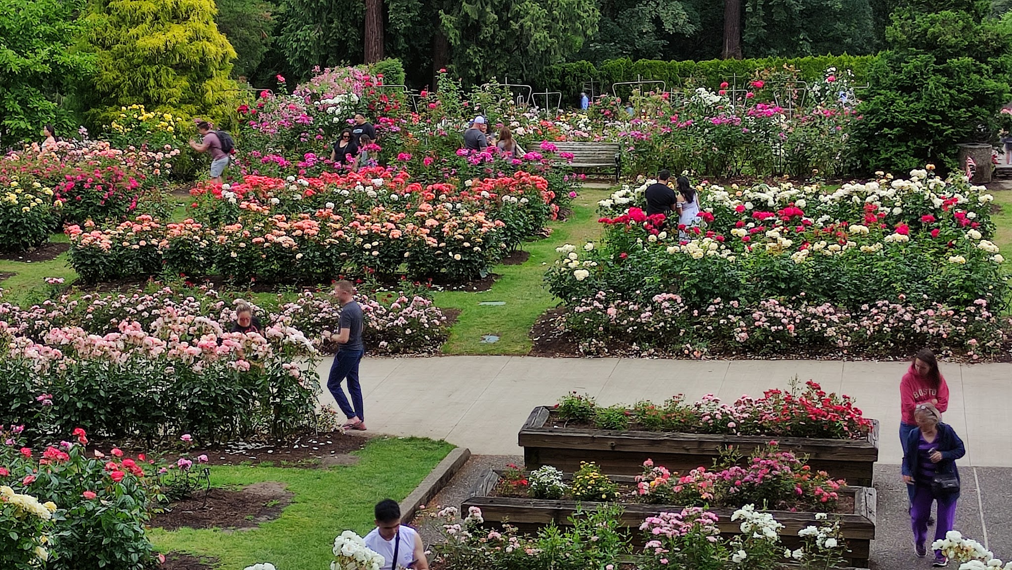 Washington Park - Portland, OR