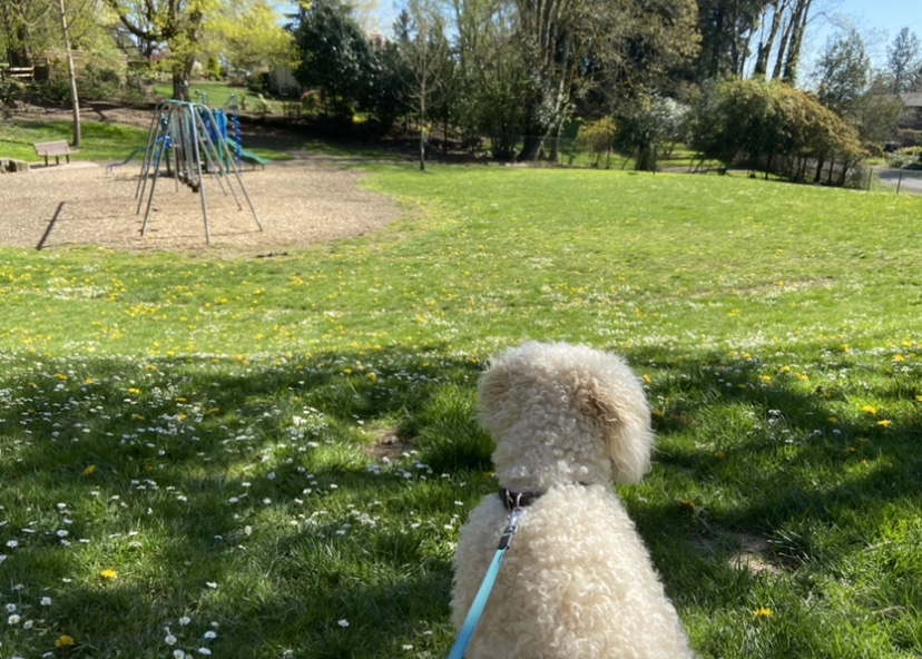 West Slope Park - Portland, OR