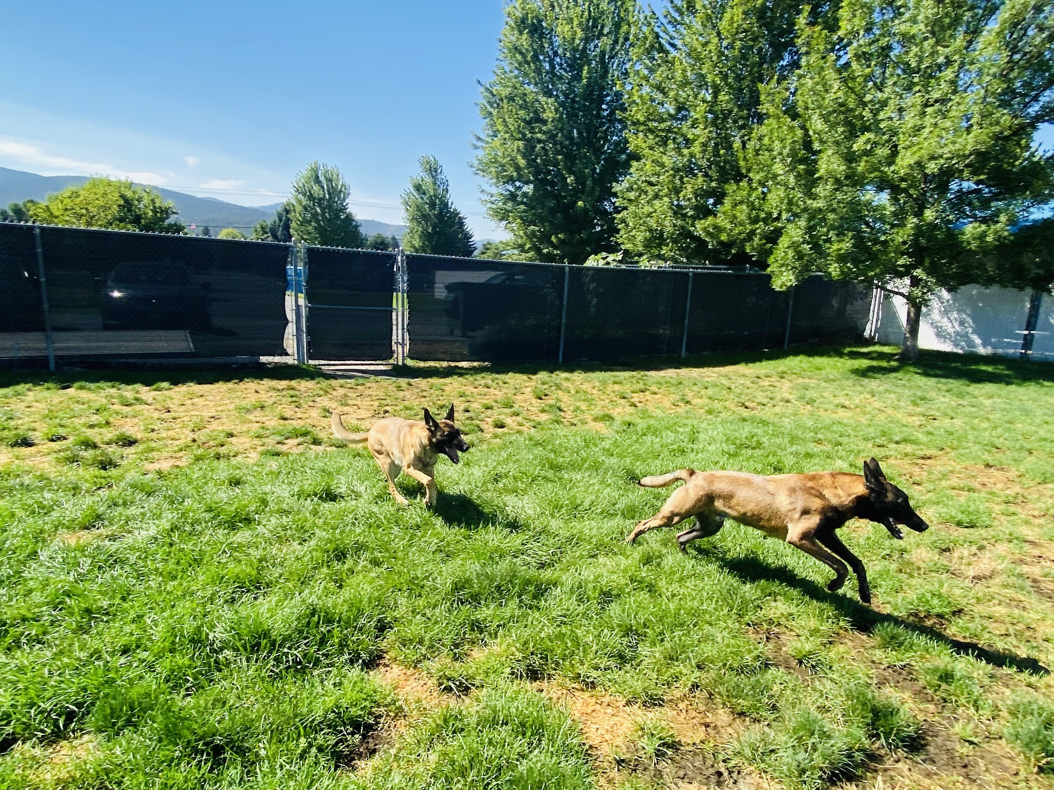 Camp K-9 - Post Falls, ID