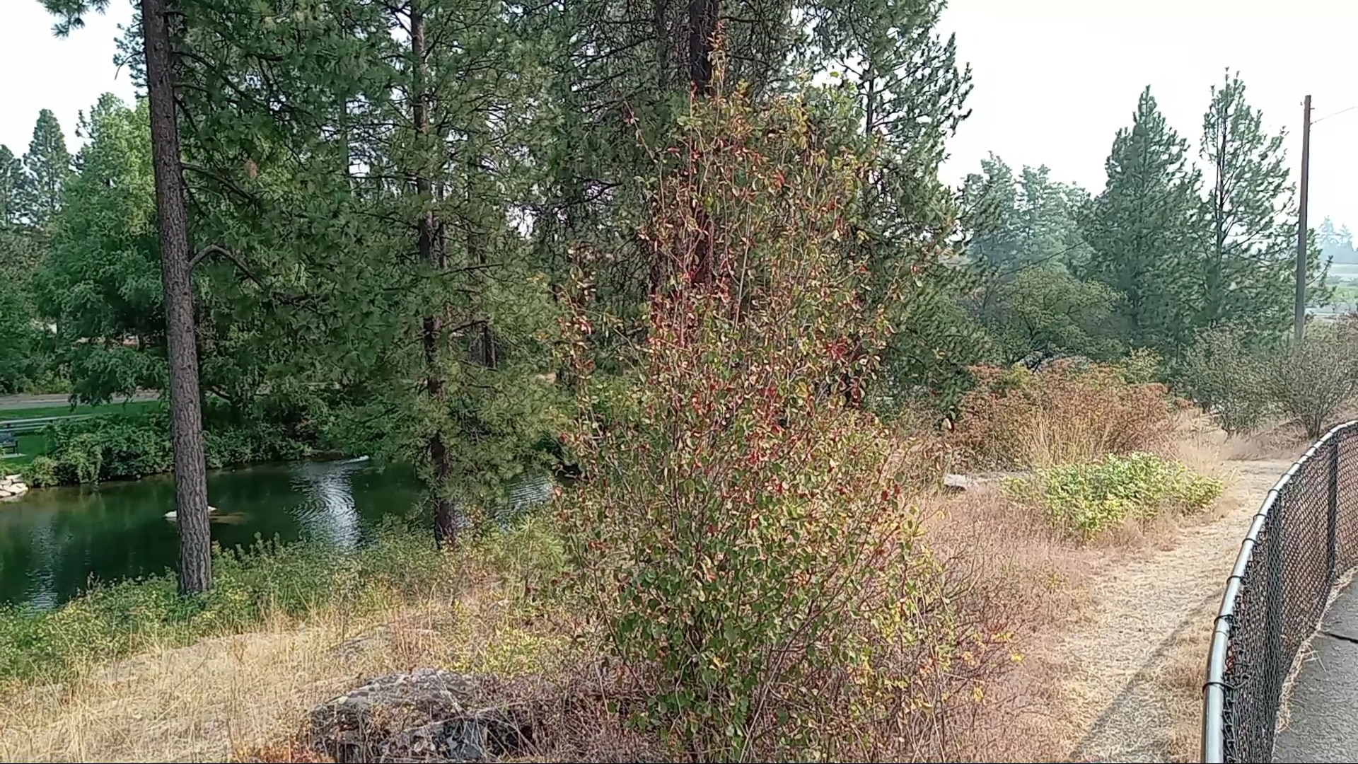 Falls Park - Post Falls, ID