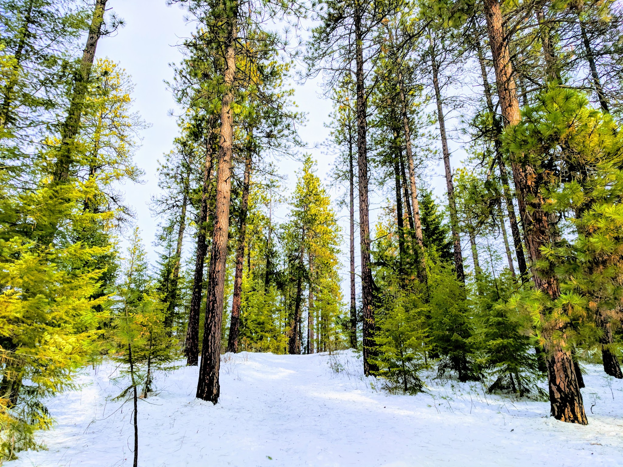 Kiwanis Park - Post Falls, ID