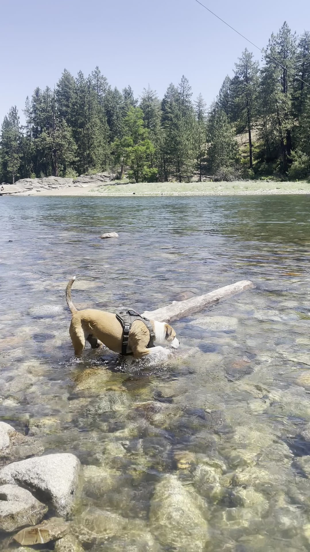 McGuire Park - Post Falls, ID