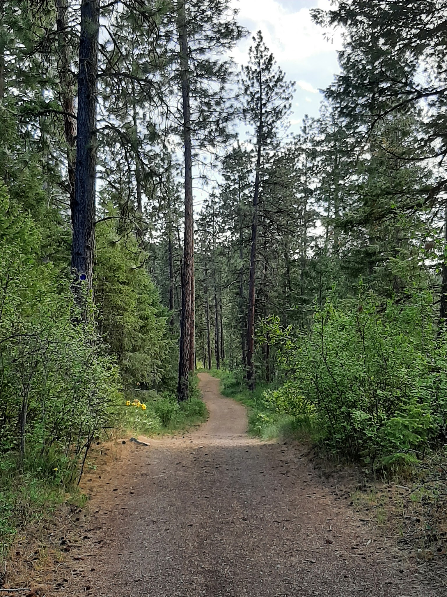 McGuire Park - Post Falls, ID
