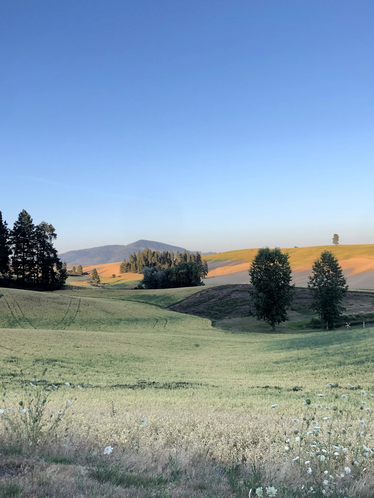 Potlatch - Potlatch, ID