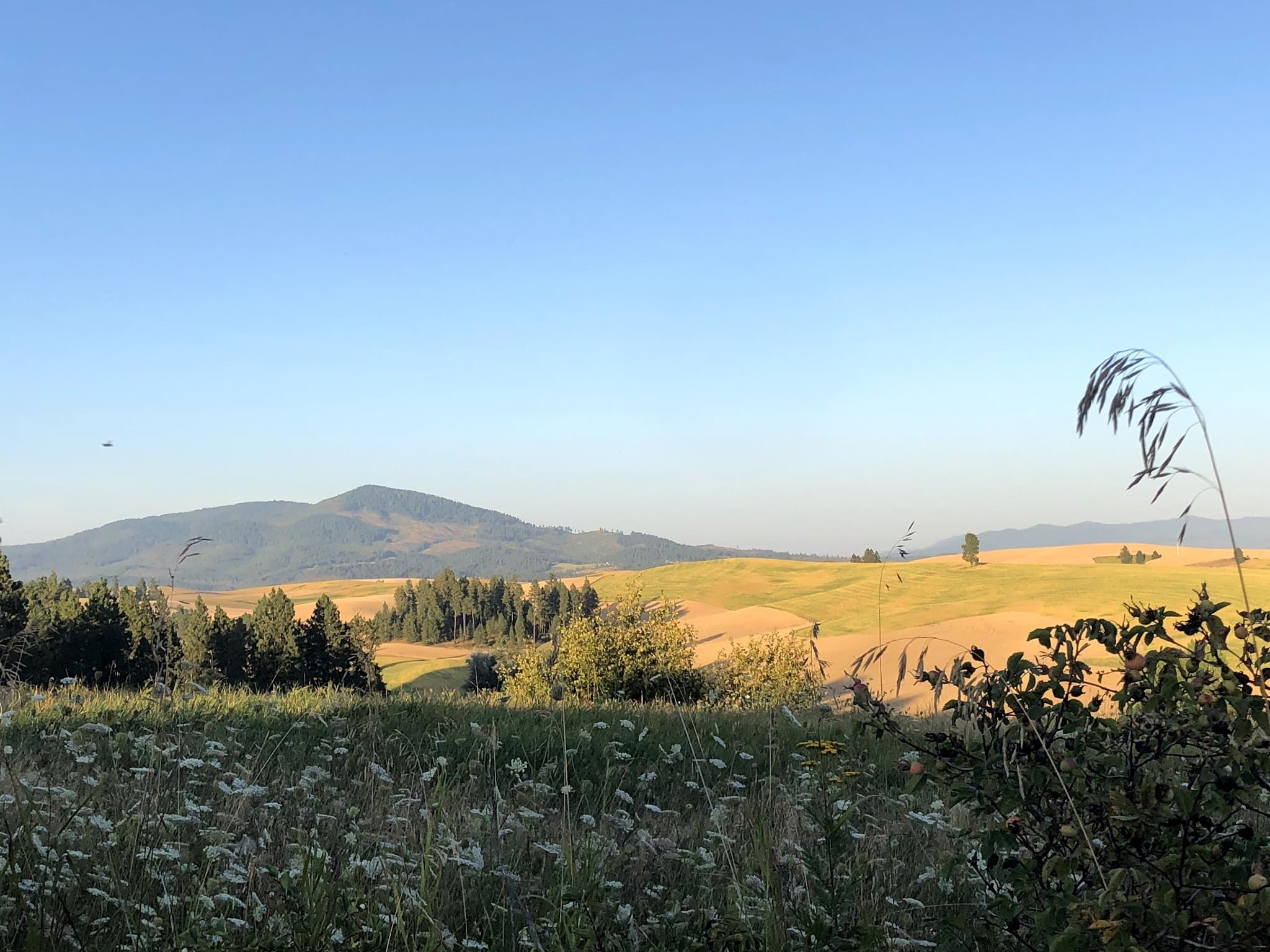 Potlatch - Potlatch, ID