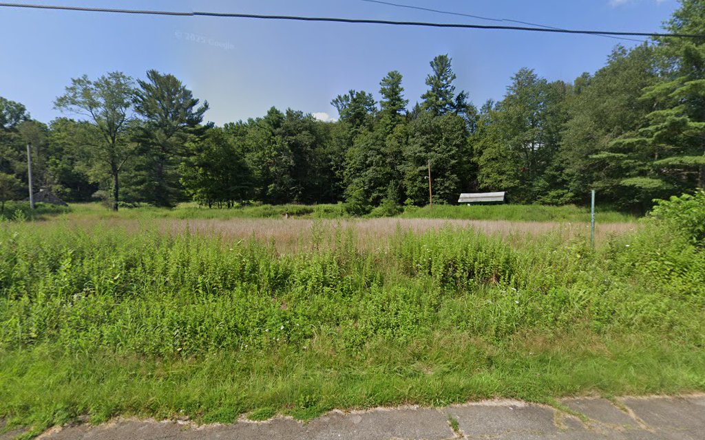 LLEWELLYNS FIREMANS GROVE - Pottsville, PA