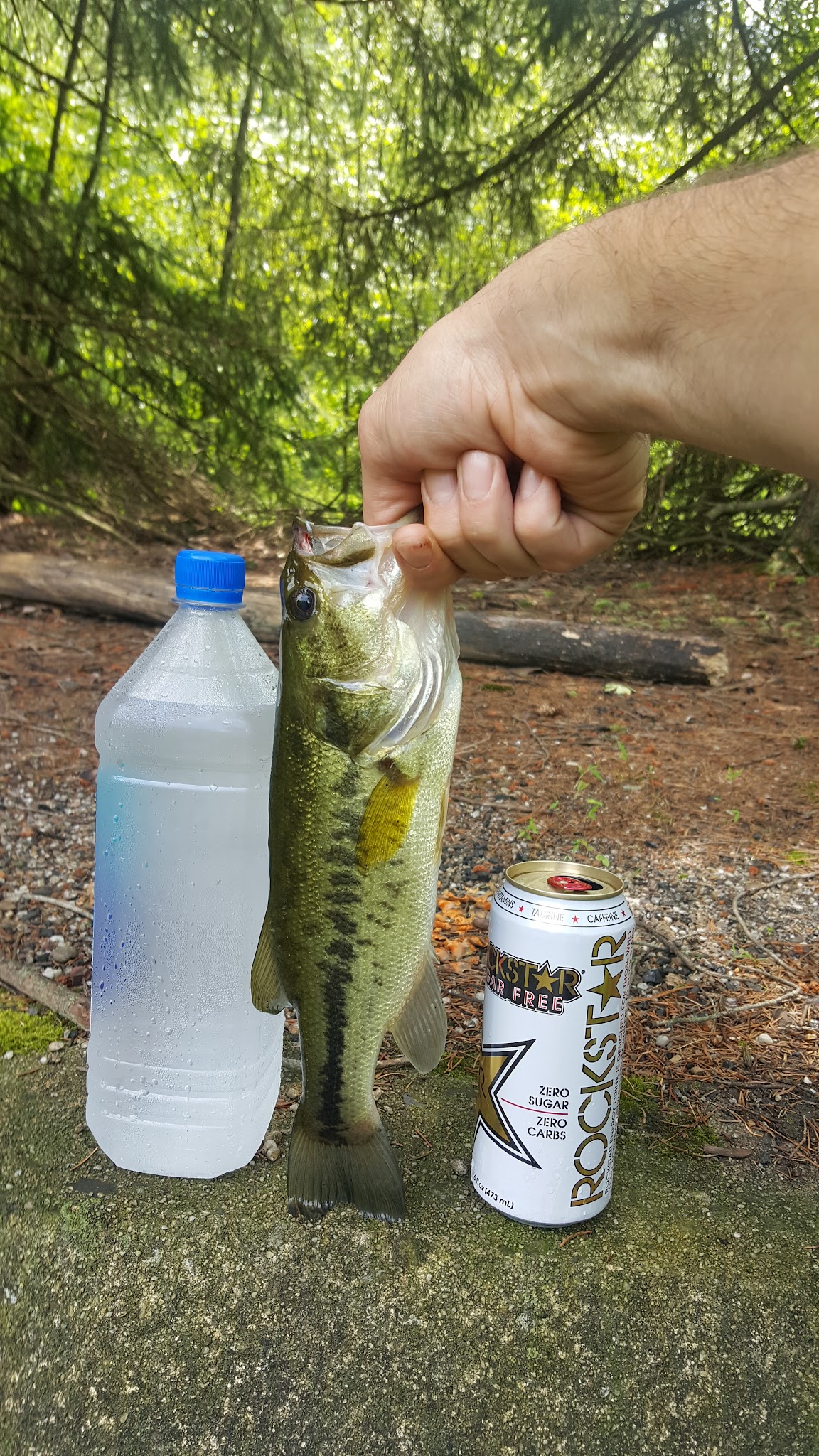 LLEWELLYNS FIREMANS GROVE - Pottsville, PA