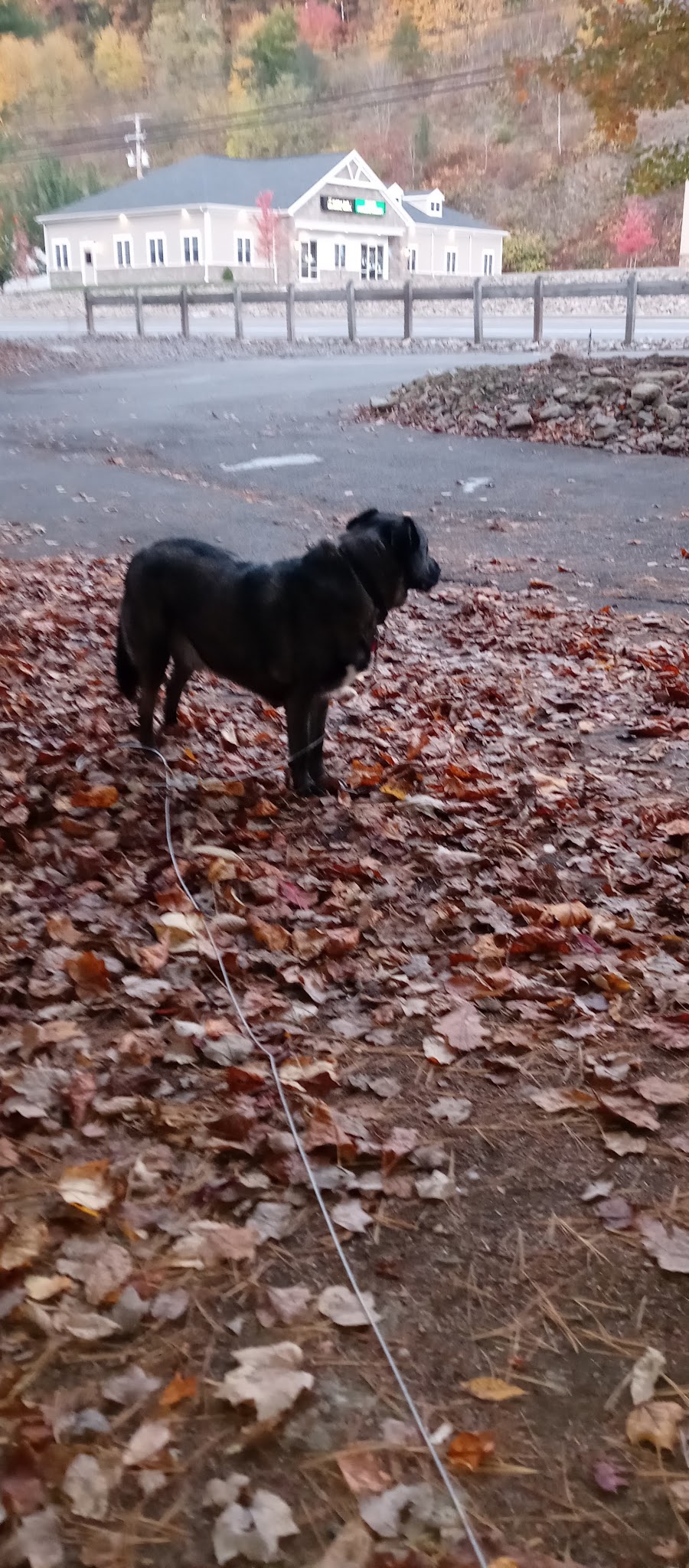 Terry Reilly Memorial Park - Pottsville, PA