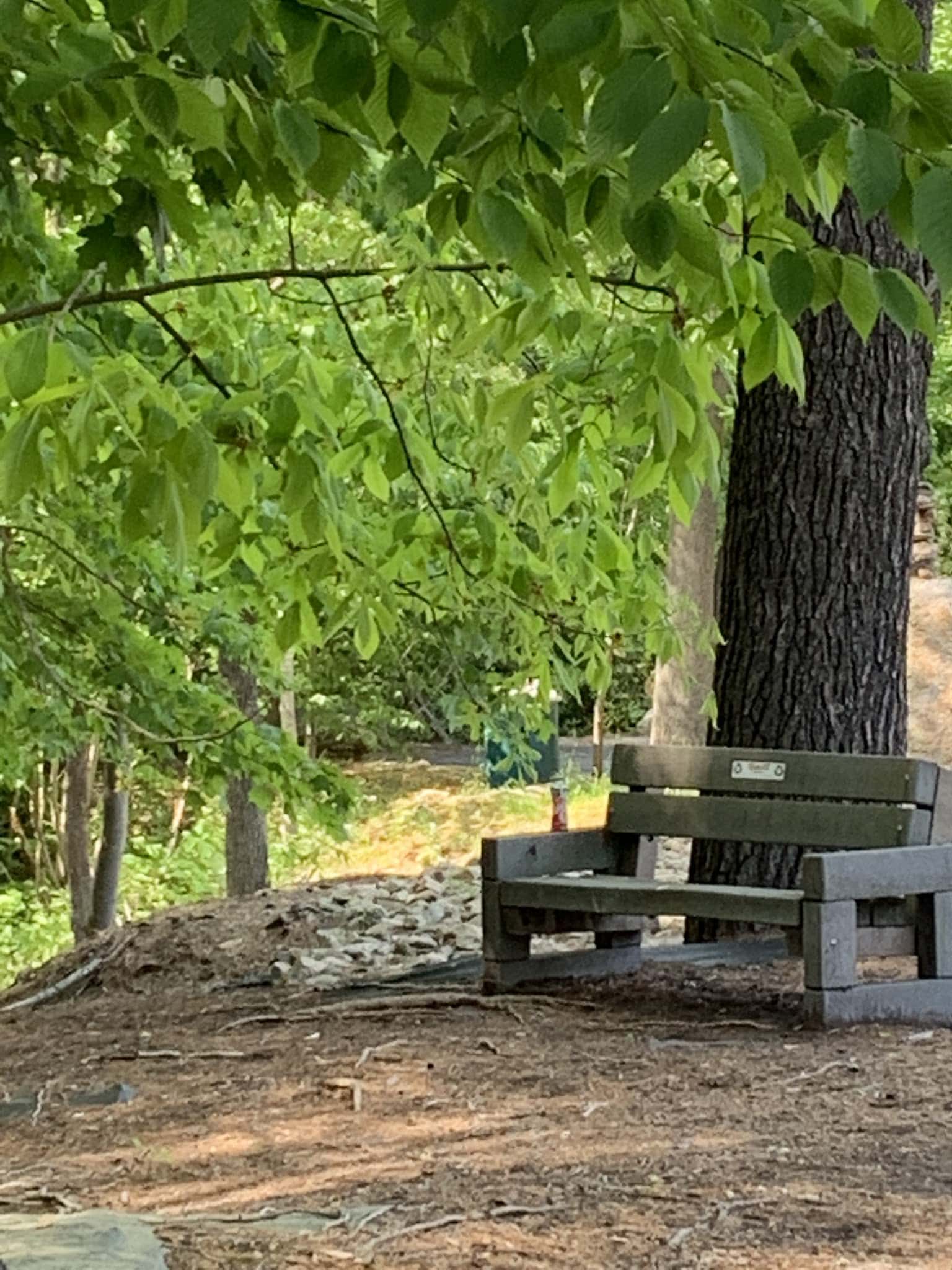 Terry Reilly Memorial Park - Pottsville, PA