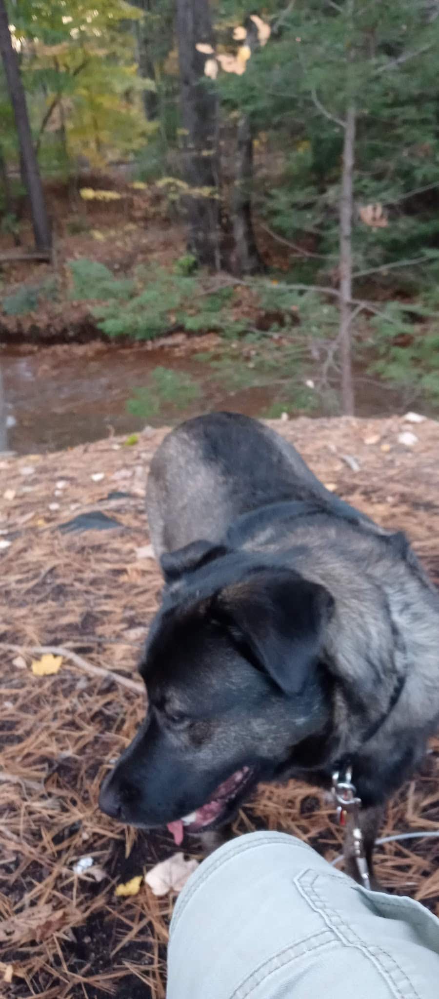 Terry Reilly Memorial Park - Pottsville, PA