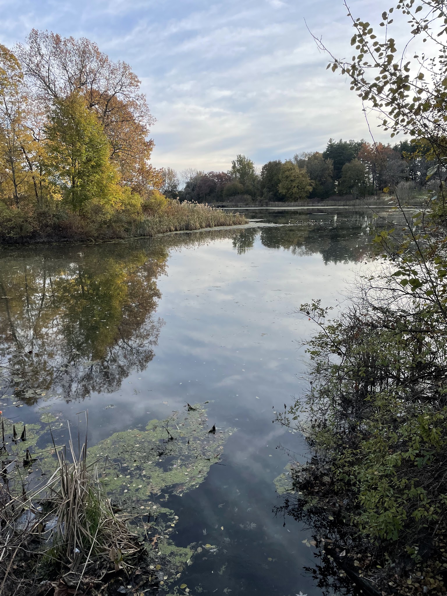 Rail Trail - Poughkeepsie, NY