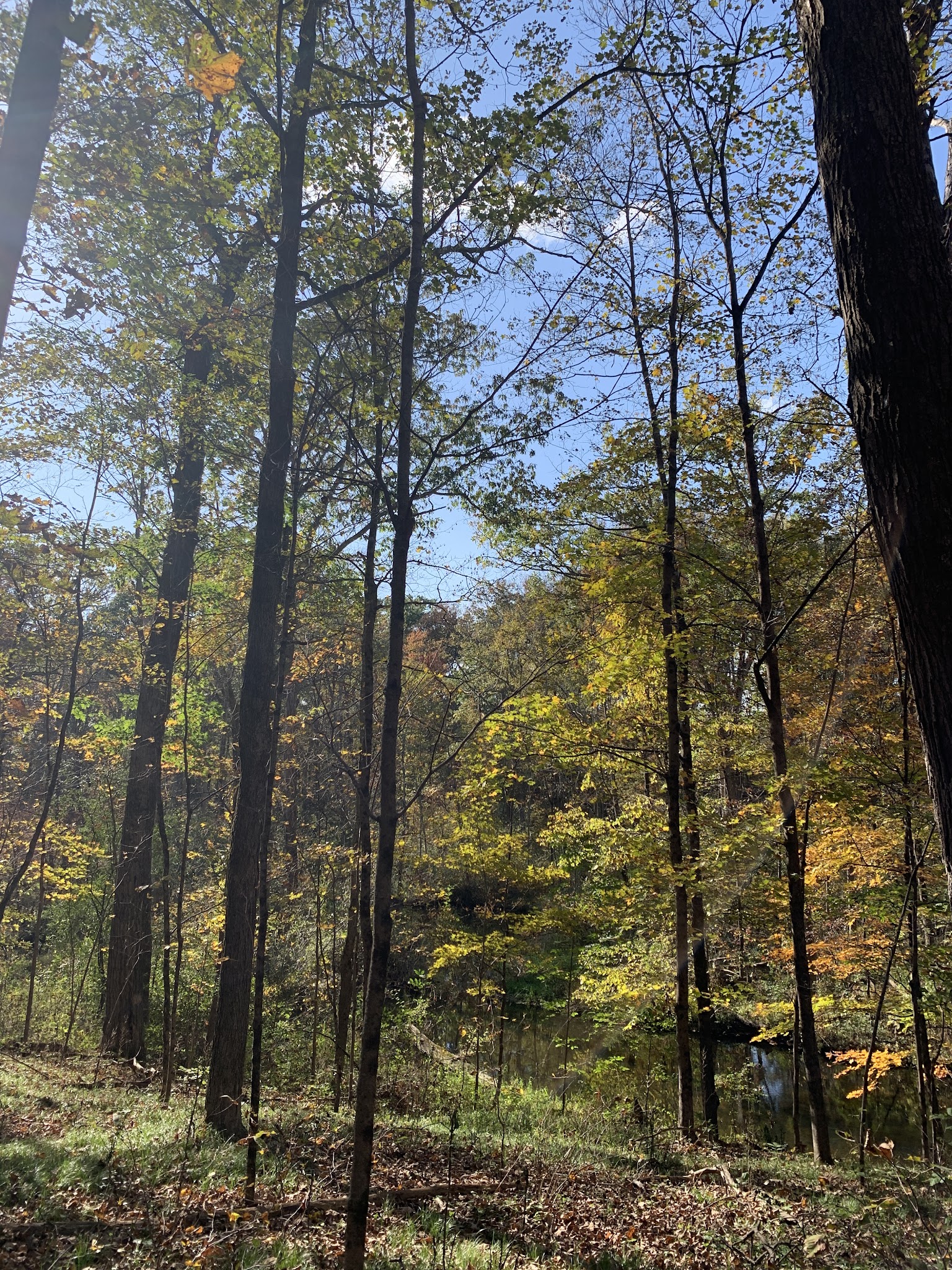 The Preserve at Vassar - Poughkeepsie, NY