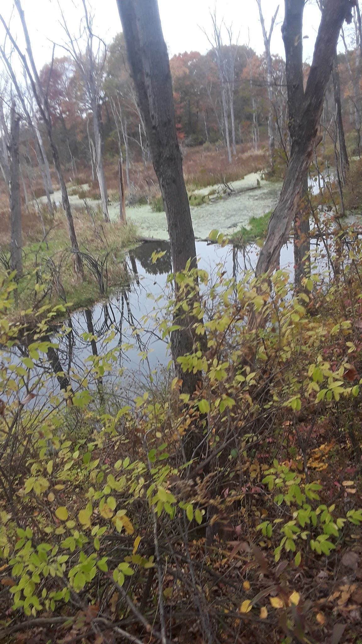 The Preserve at Vassar - Poughkeepsie, NY