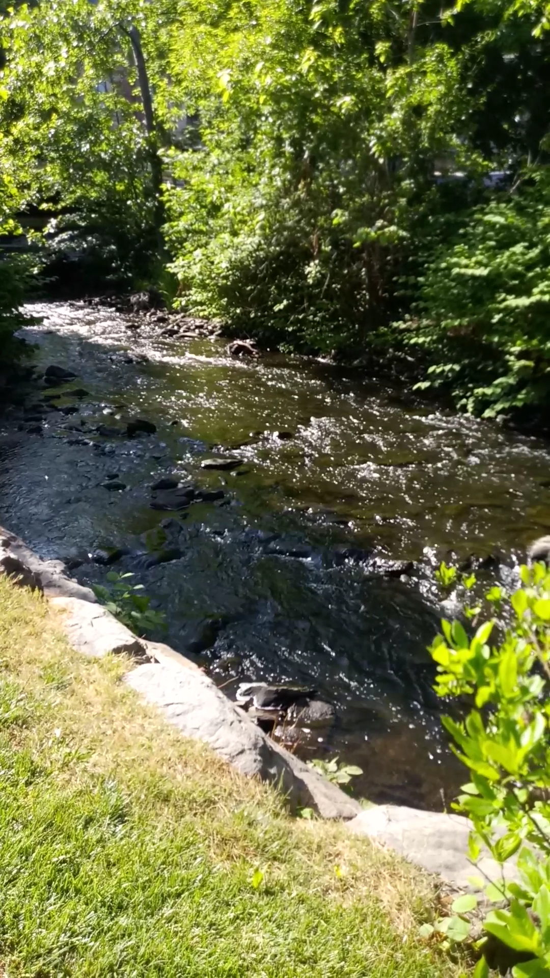 Upper Landing Park - Poughkeepsie, NY