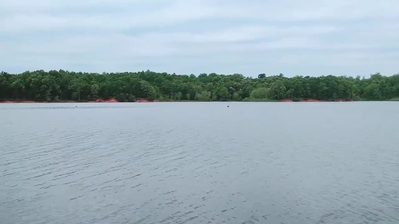 Pat Mayse Lake Recreation Area - Powderly, TX