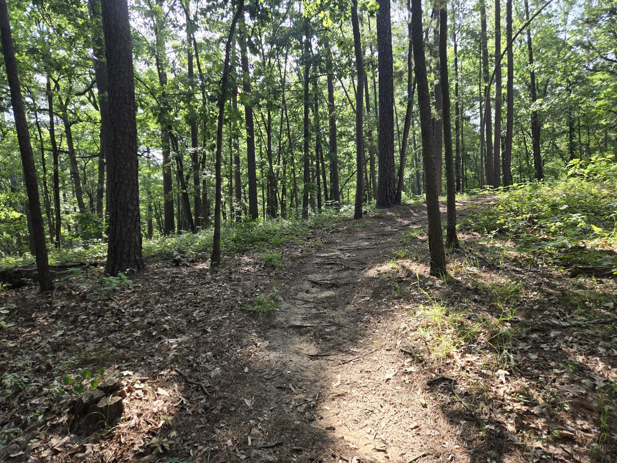 Pat Mayse Lake Recreation Area - Powderly, TX