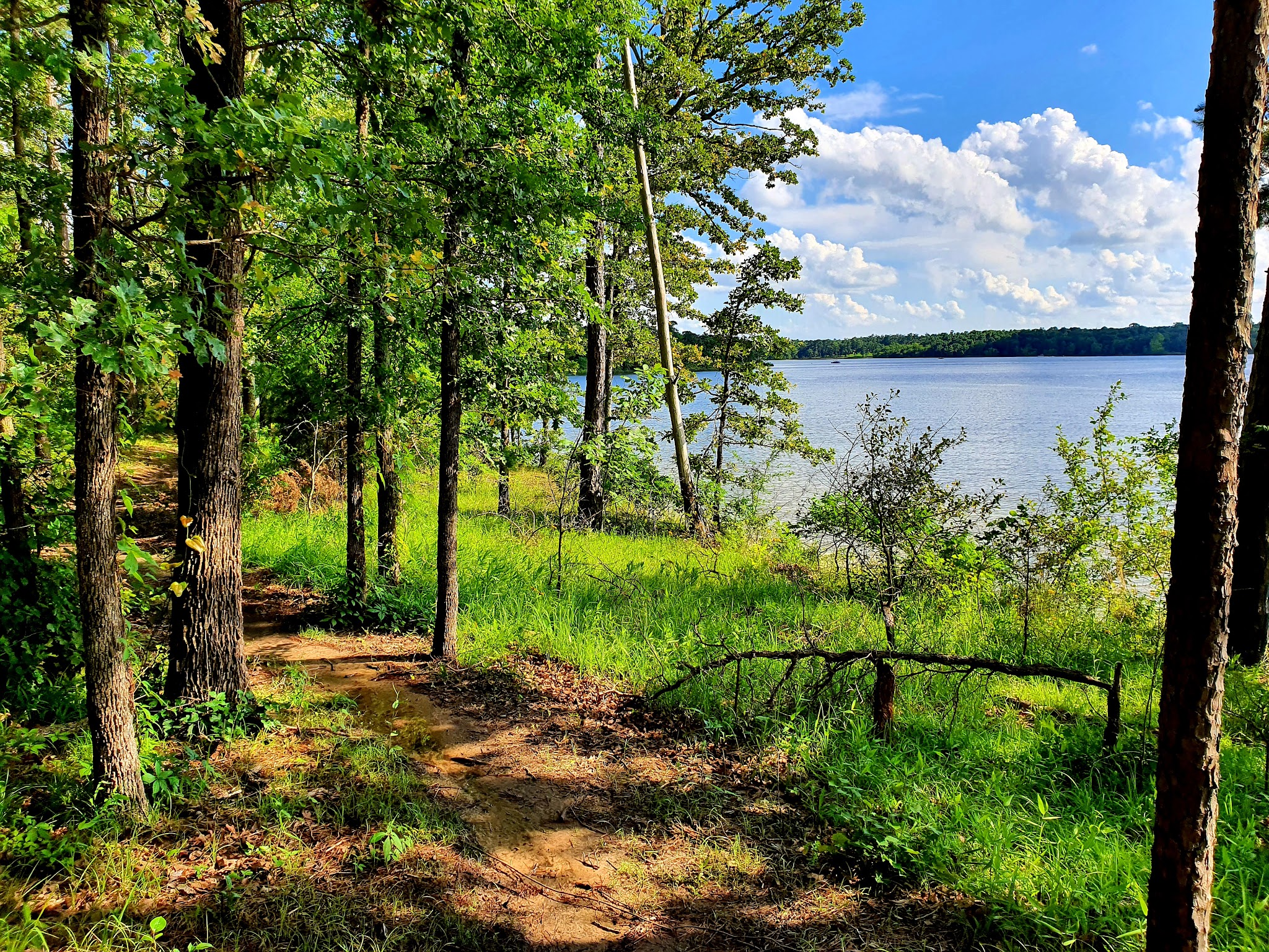 Pat Mayse Lake Recreation Area - Powderly, TX