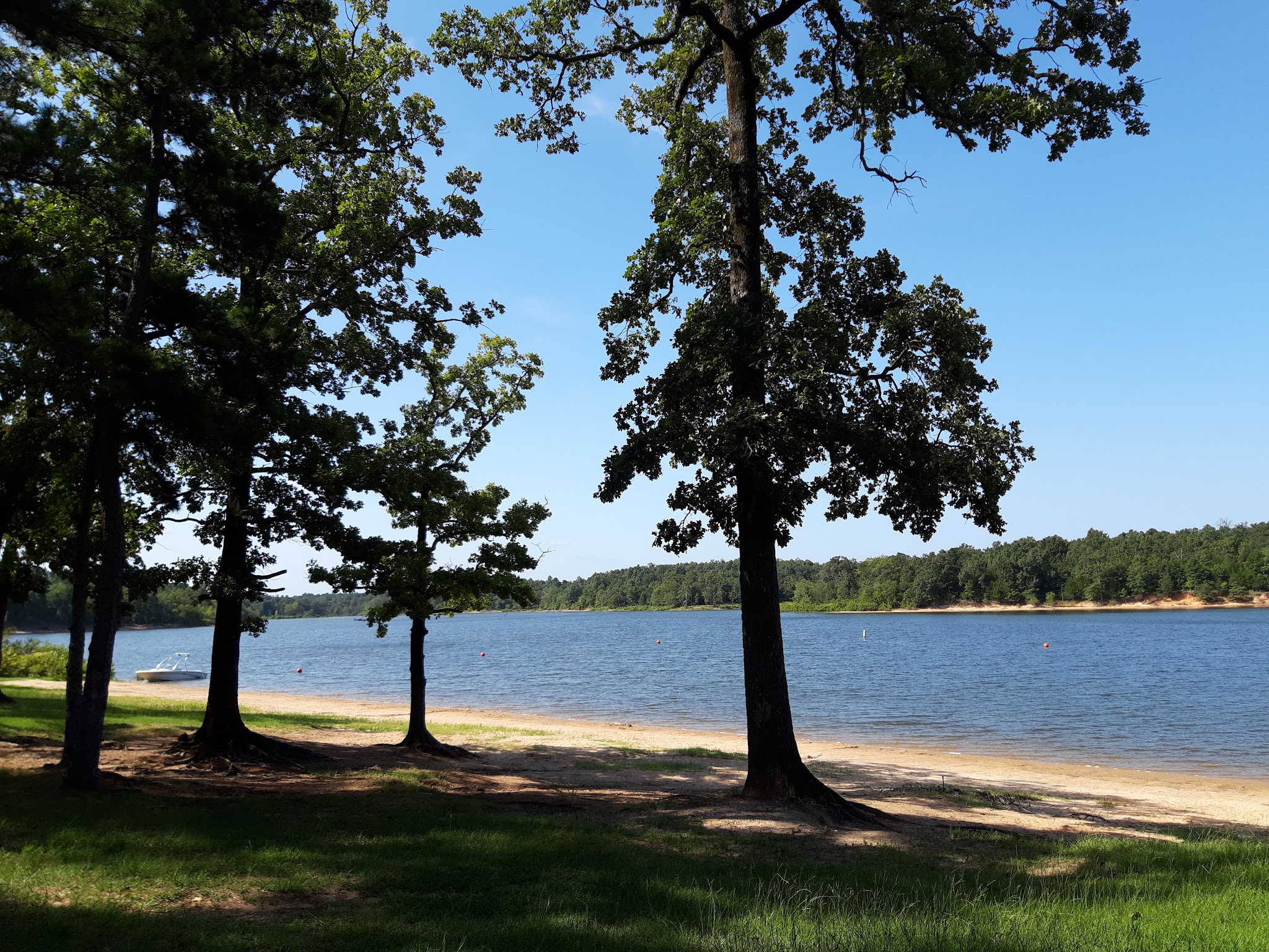 Pat Mayse Lake Recreation Area - Powderly, TX