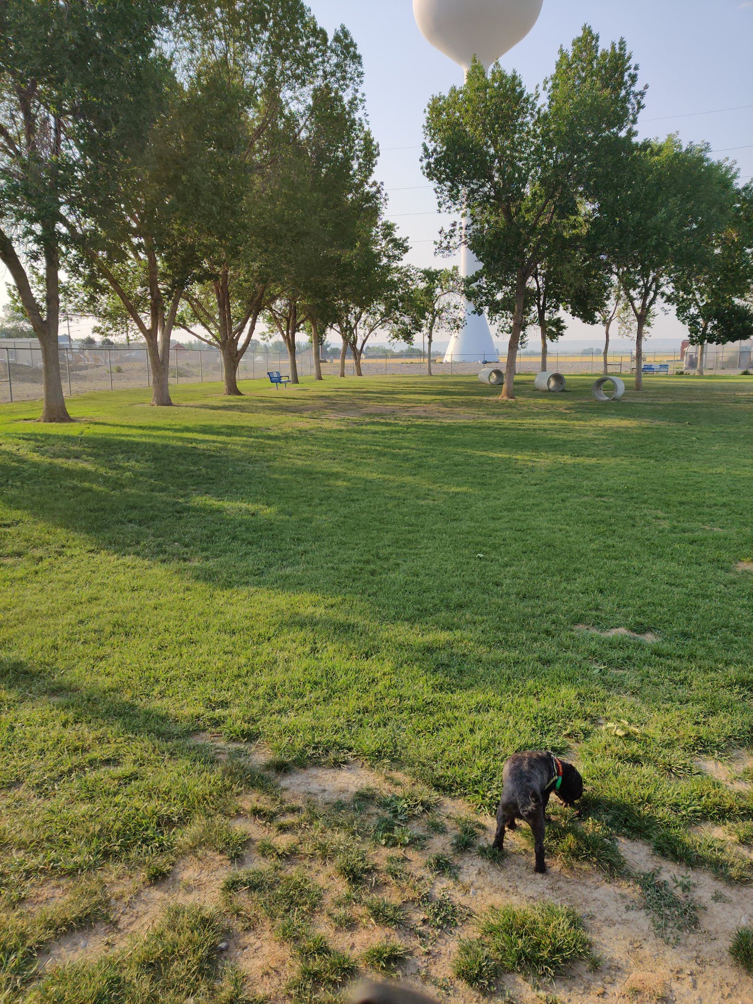 Wiggly Field Off-Leash Dog Park - Powell, WY