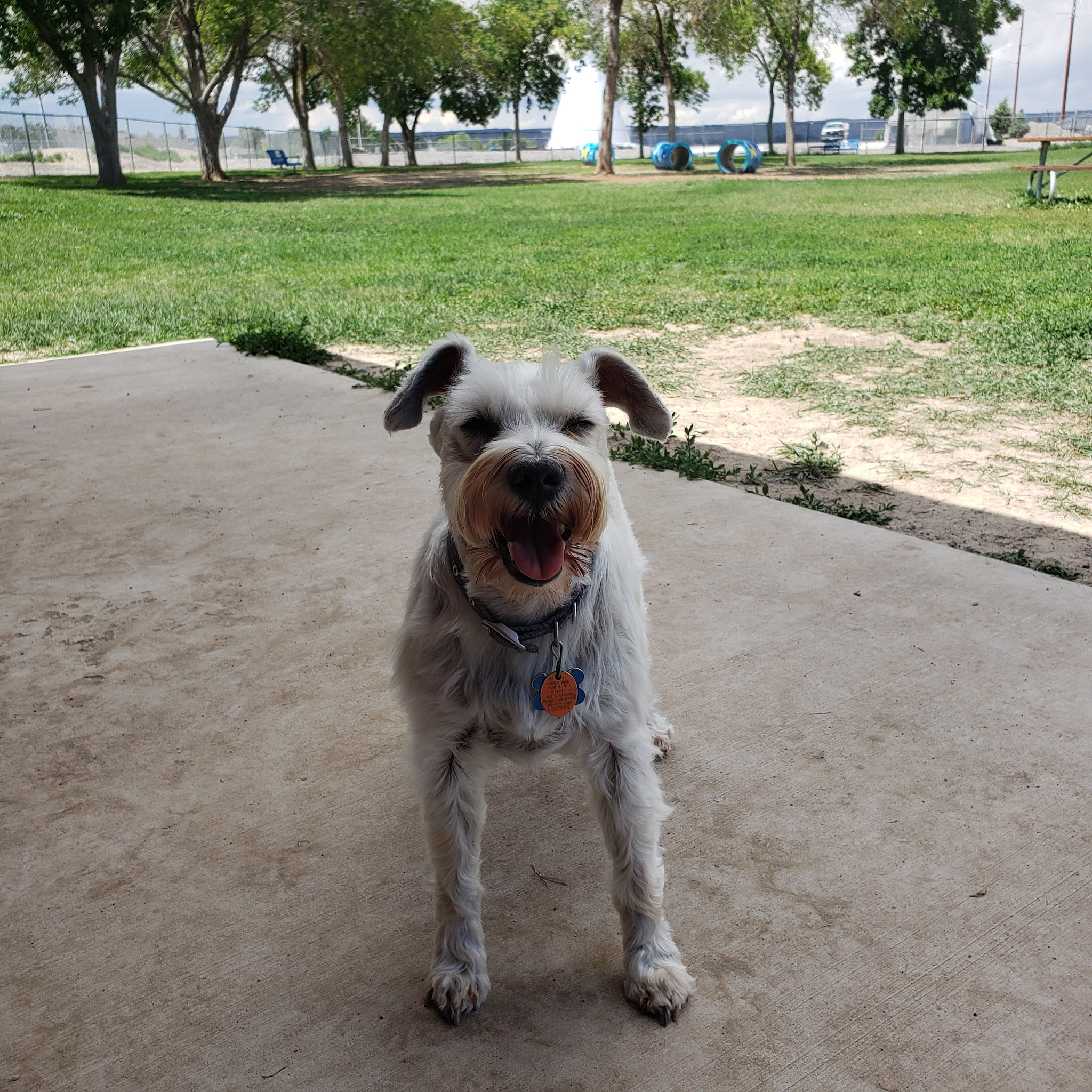 Wiggly Field Off-Leash Dog Park - Powell, WY