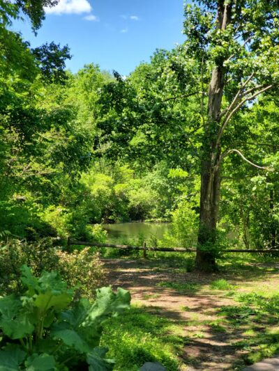 Community Park South - Princeton, NJ