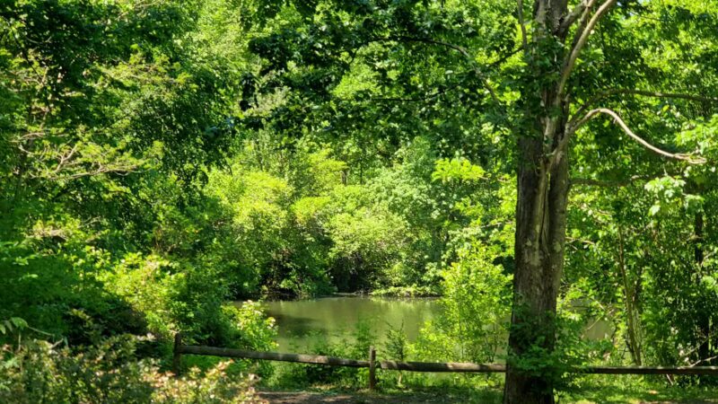 Community Park South - Princeton, NJ
