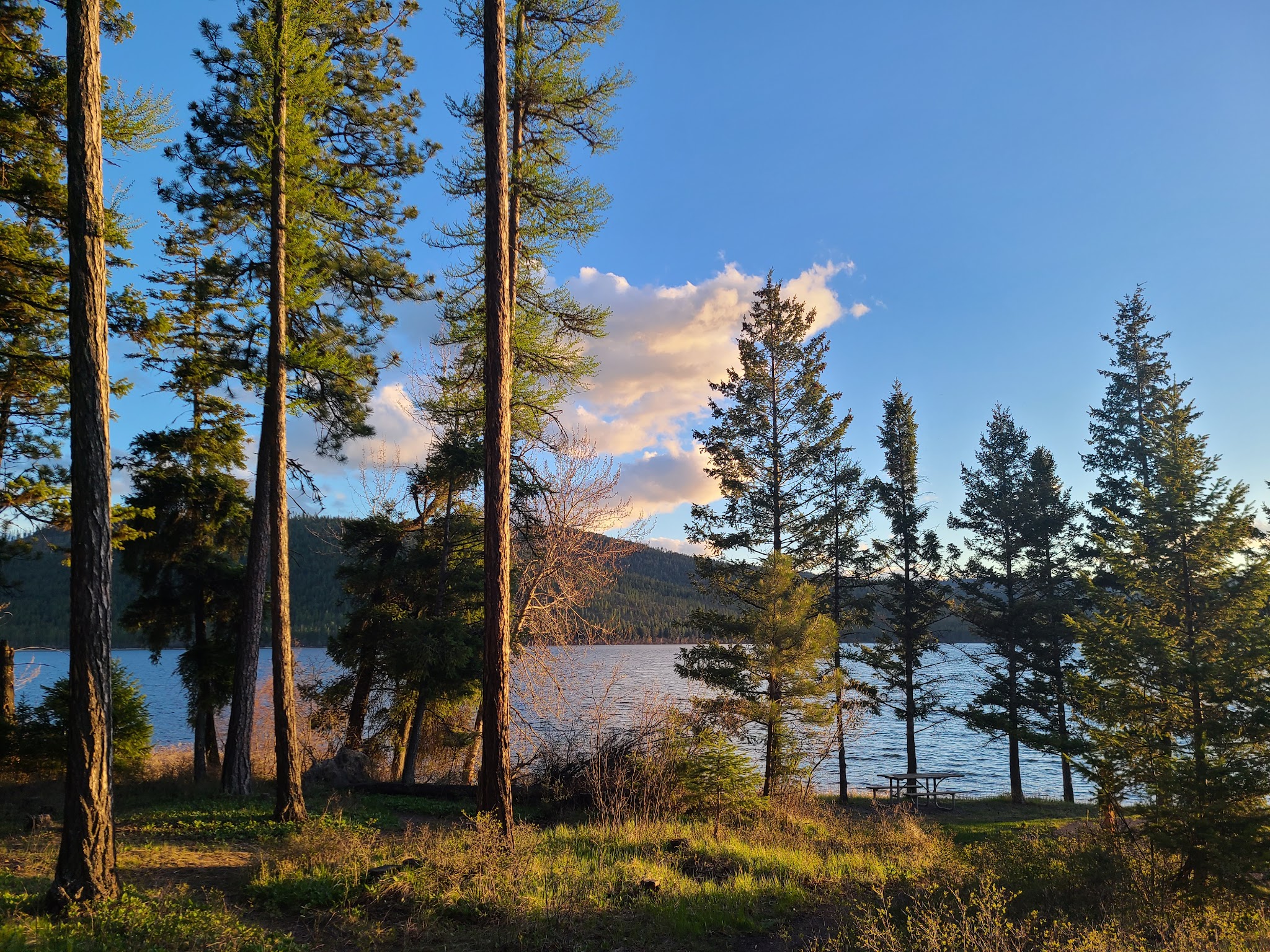 Lake Mary Ronan State Park - Proctor, MT