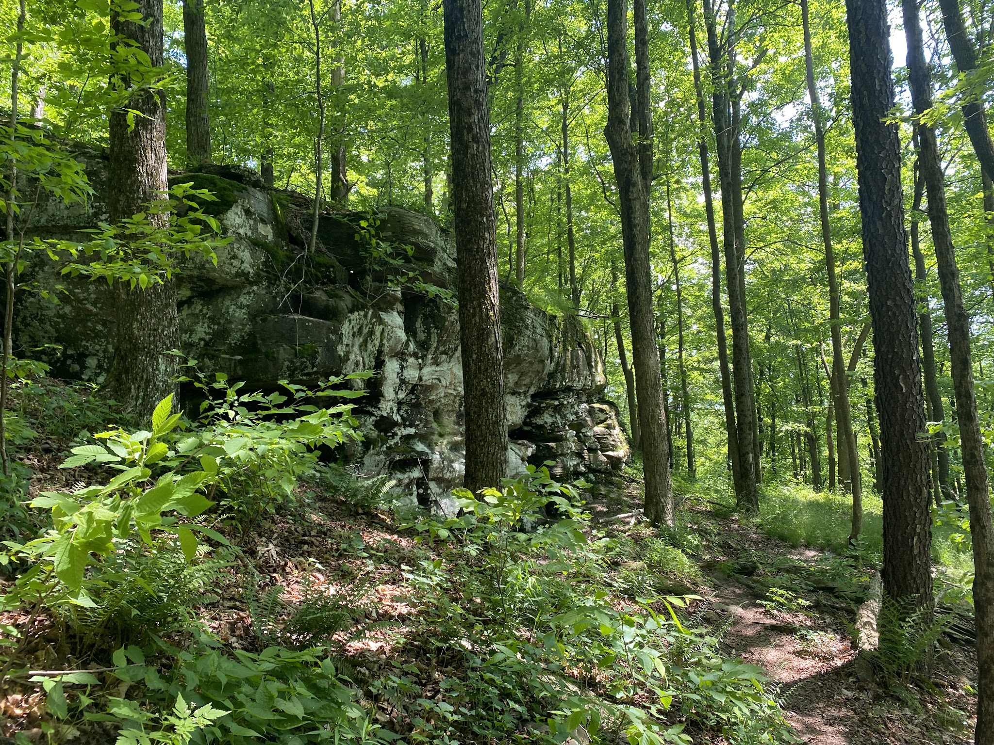Prompton State Park - Prompton, PA