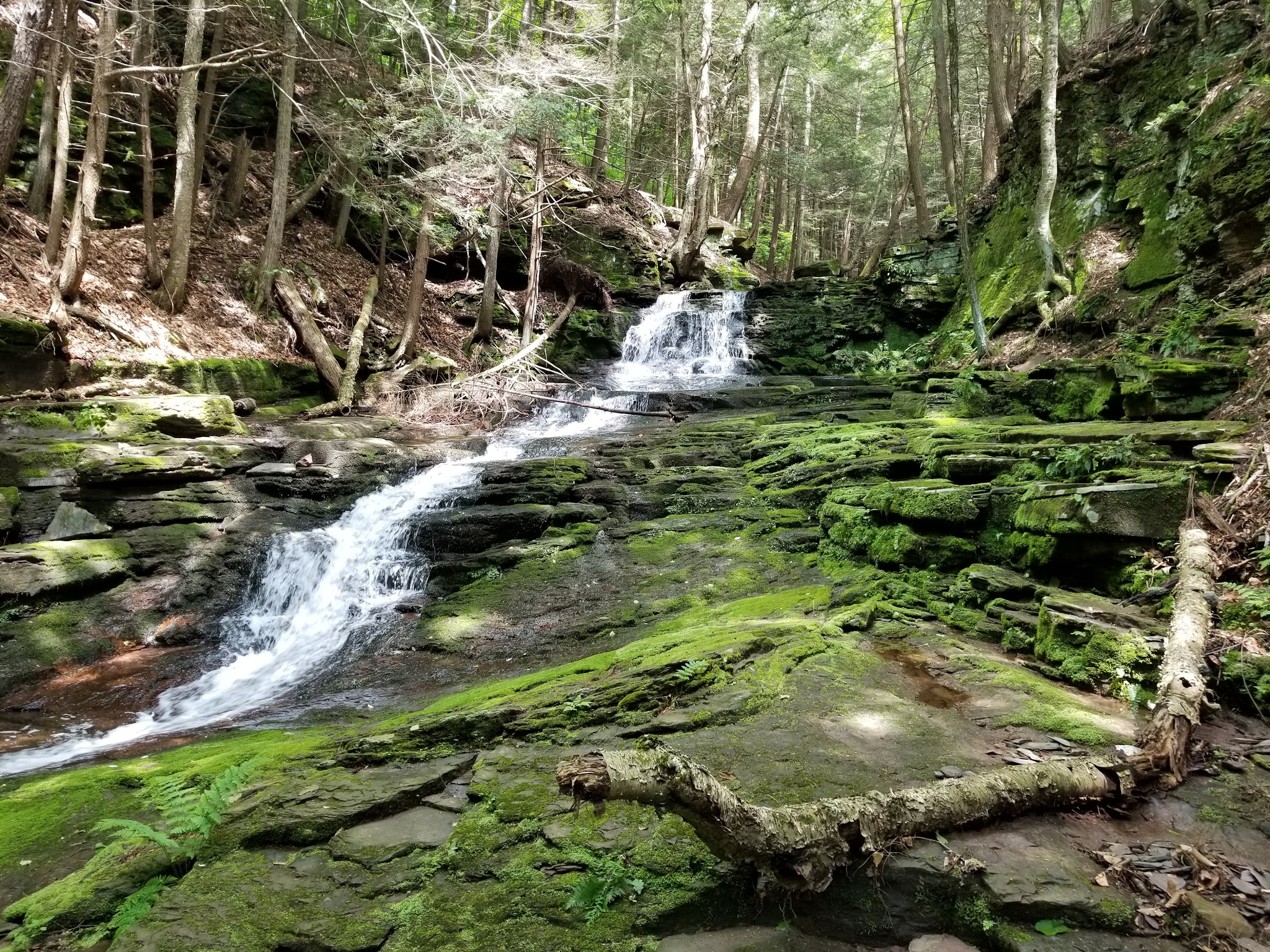 Prompton State Park - Prompton, PA