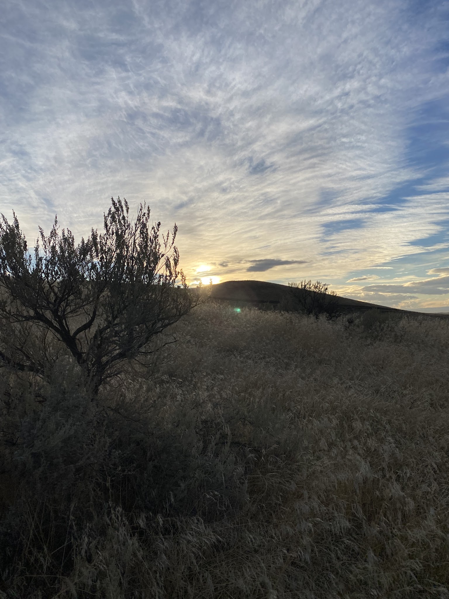Unofficial Prosser Dog Park - Prosser, WA