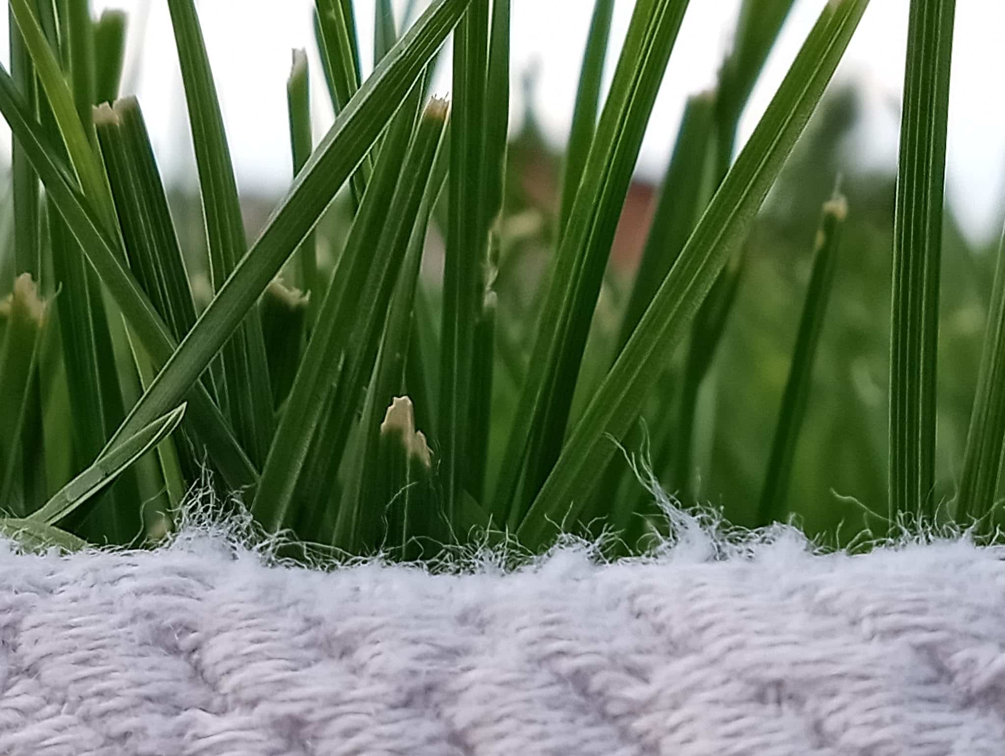Alma Leonhardt Park - Providence, UT