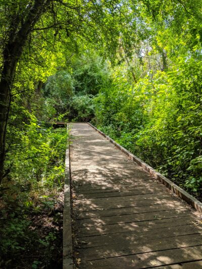 Bicentennial Park - Provo, UT