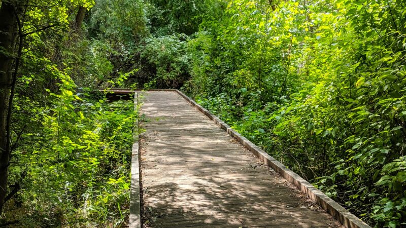 Bicentennial Park - Provo, UT