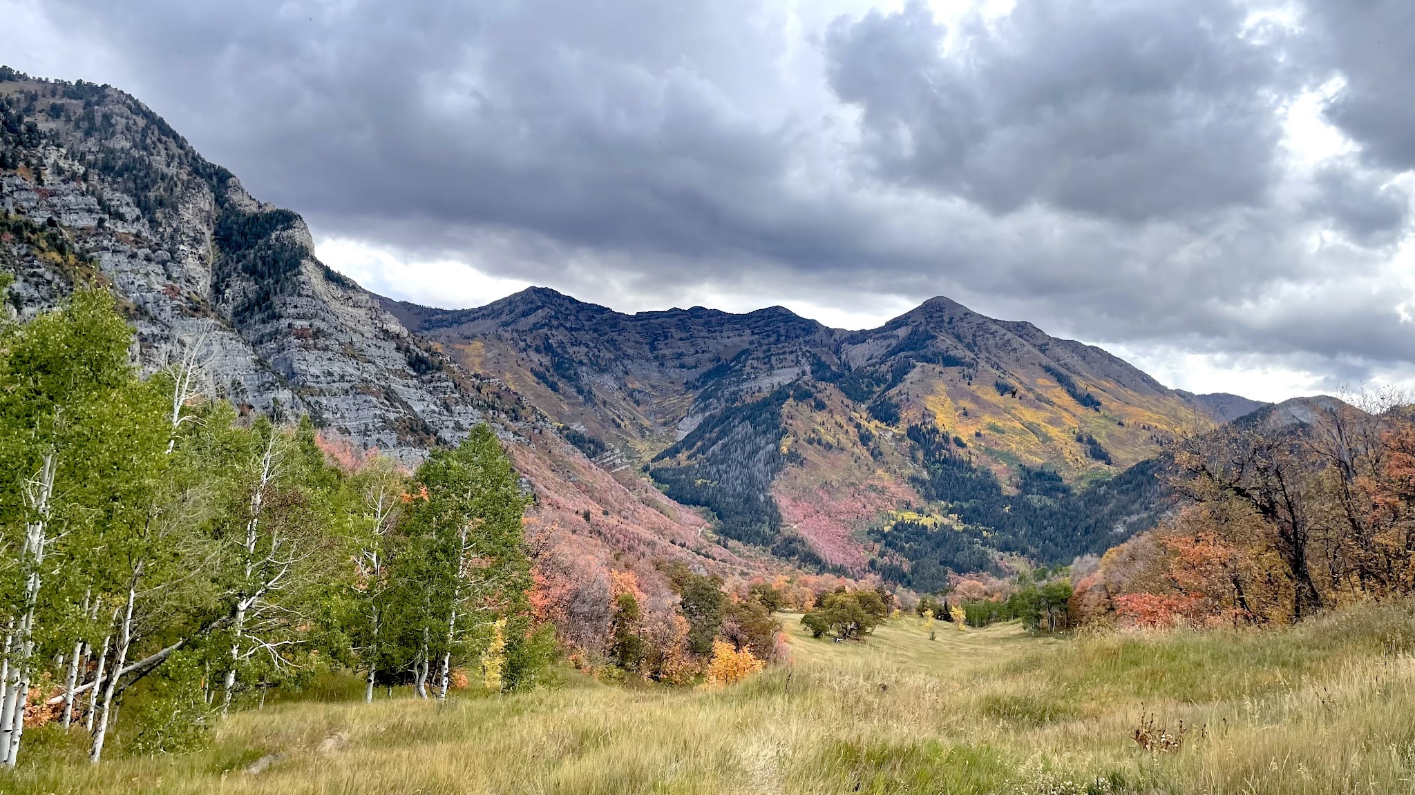 Dog Meadow - Provo, UT