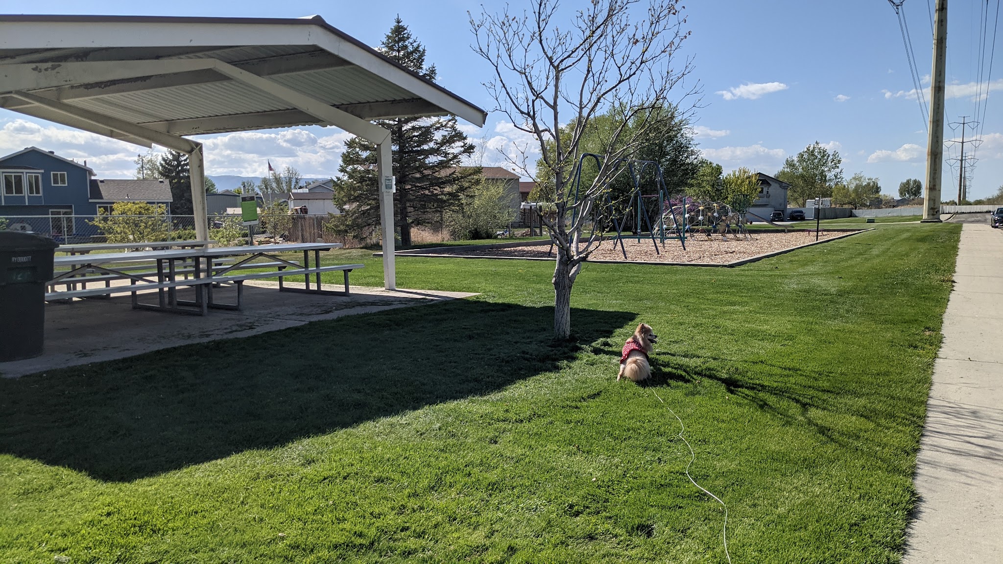 Harbor Park - Provo, UT