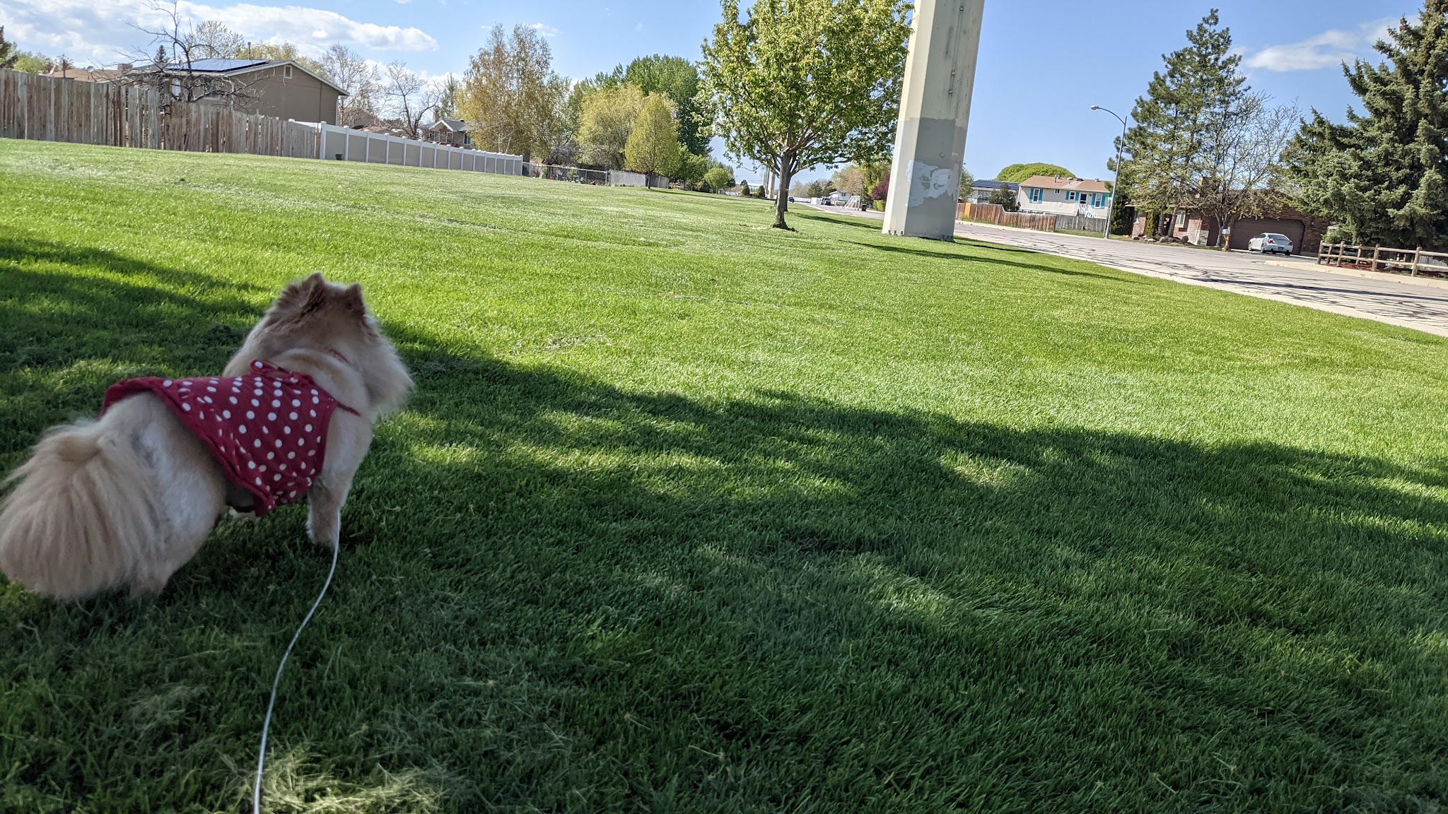 Harbor Park - Provo, UT