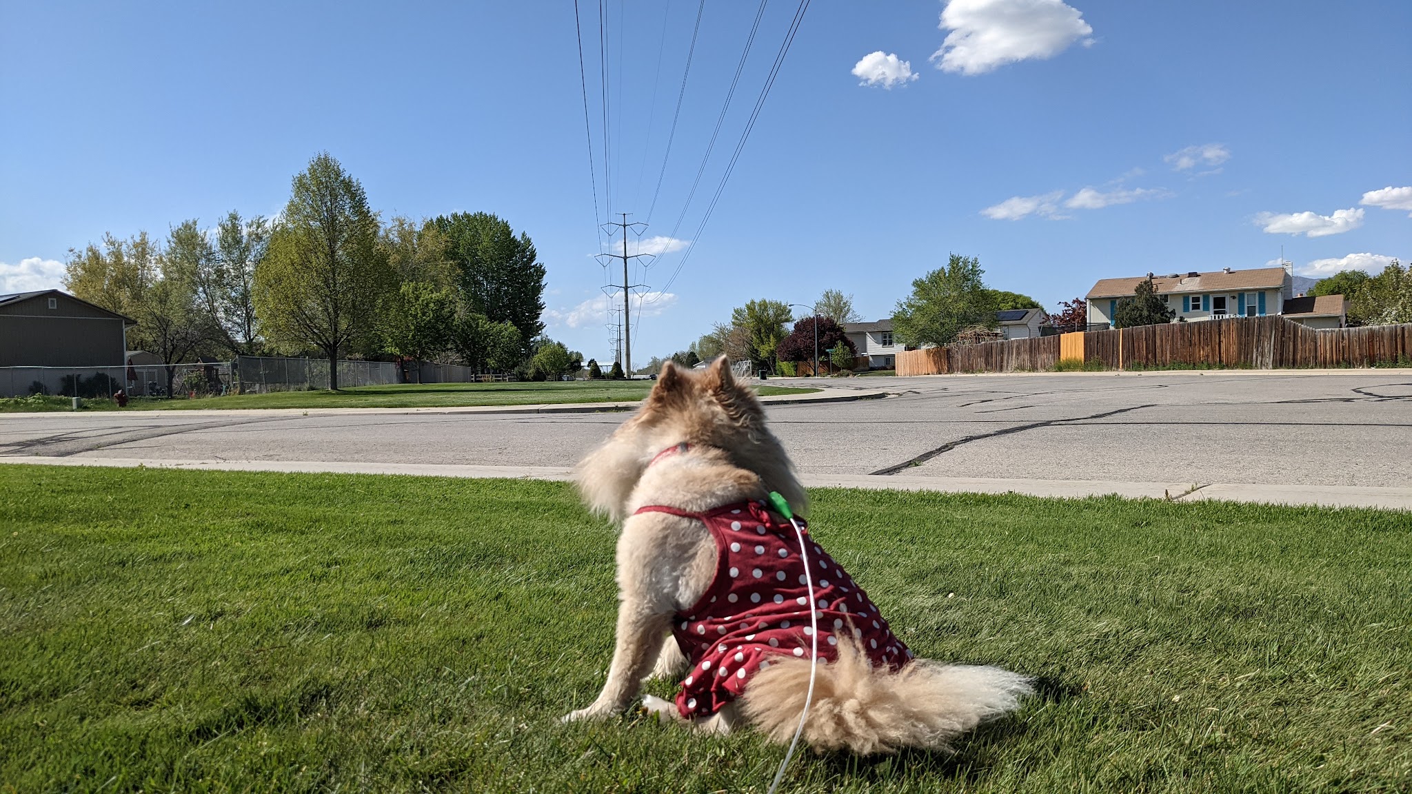 Harbor Park - Provo, UT