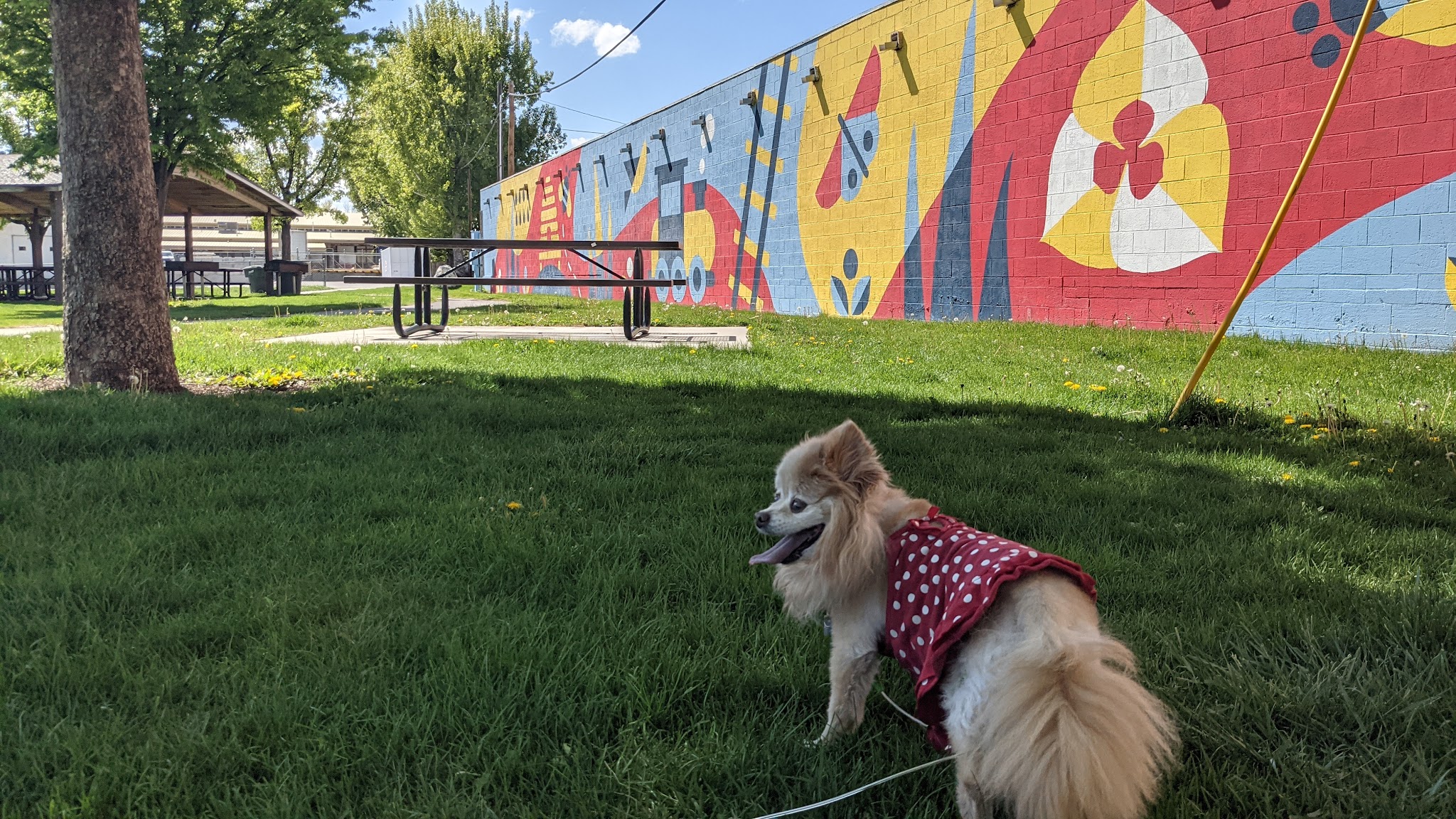 Maeser Park - Provo, UT