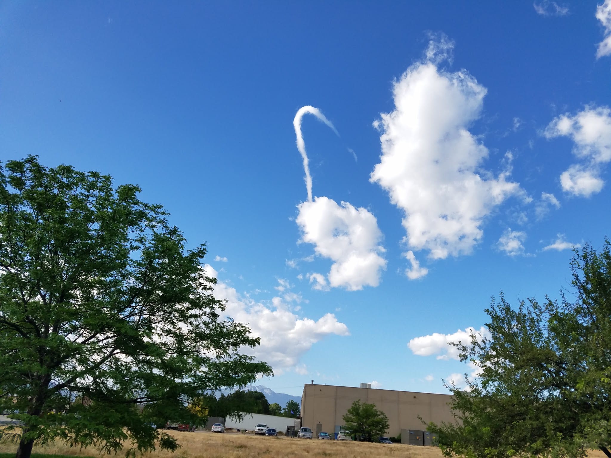 Provo Park & Park Forestry - Provo, UT