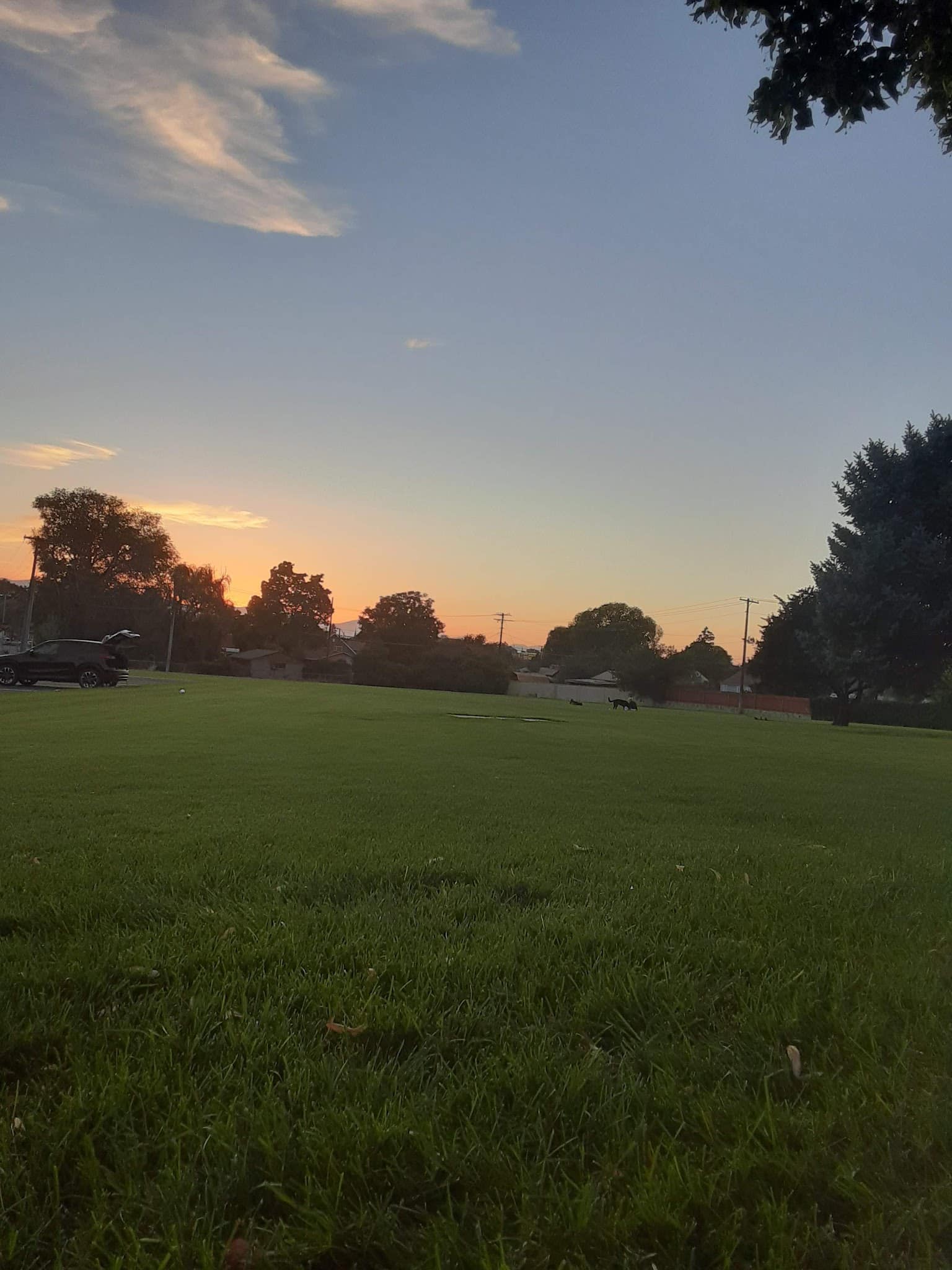 Provost Park - Provo, UT