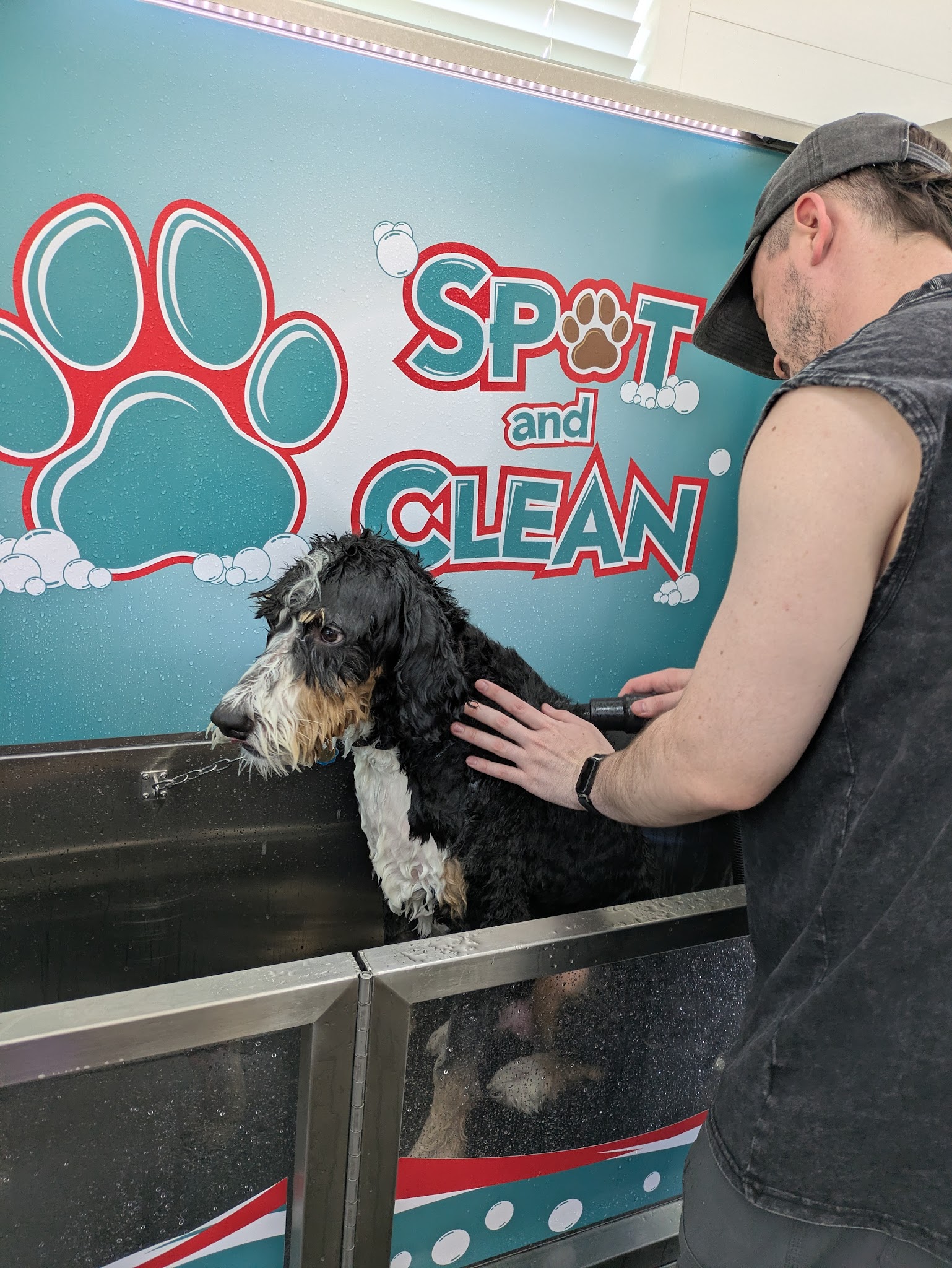 Spot and Clean Self-Serve Dog Wash - Provo, UT