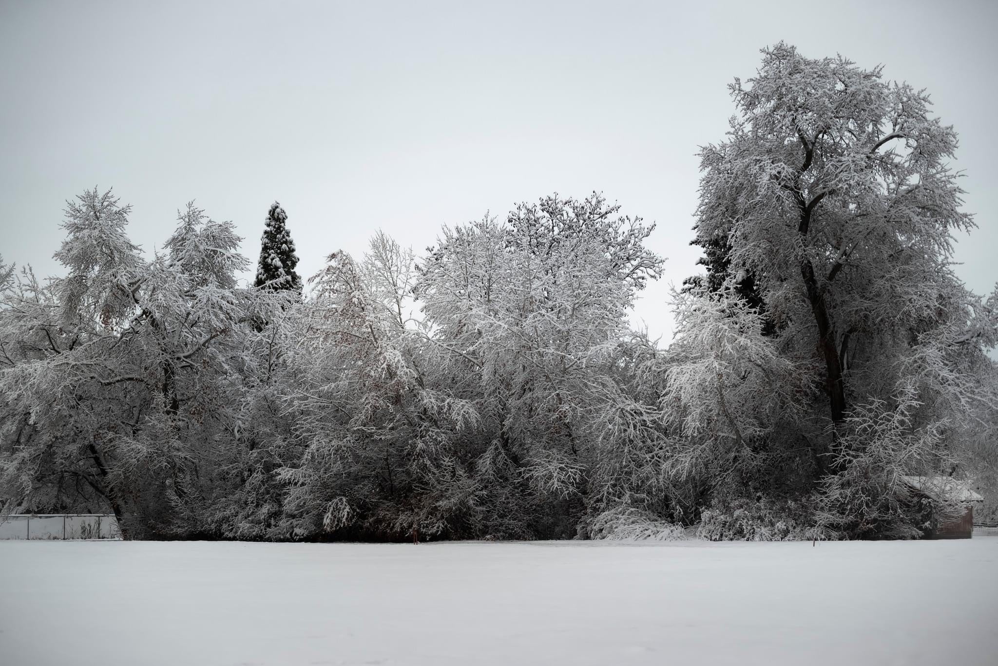 Stutz Park - Provo, UT