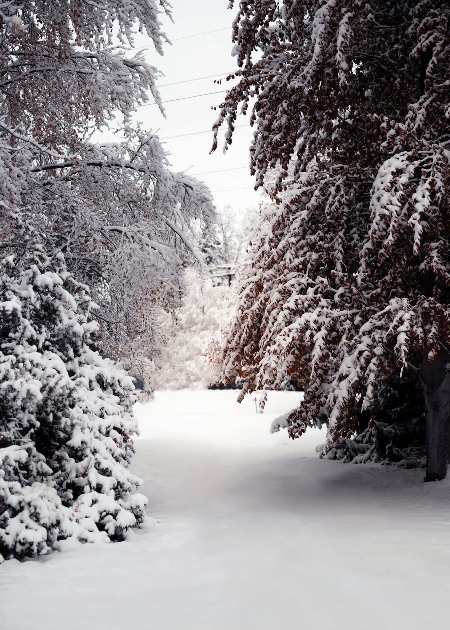 Stutz Park - Provo, UT